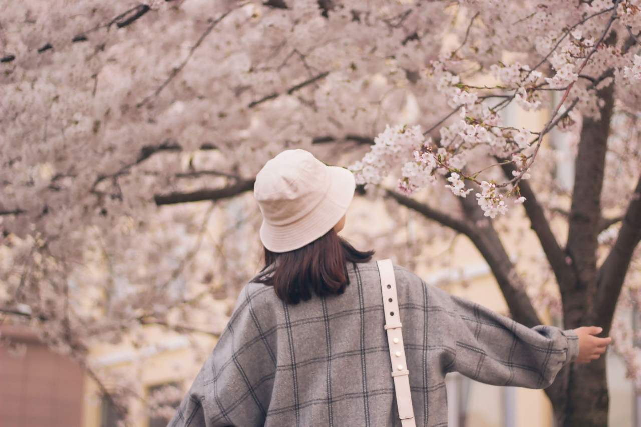 Prendas de ropa de moda primavera 2021: Freedom Moda