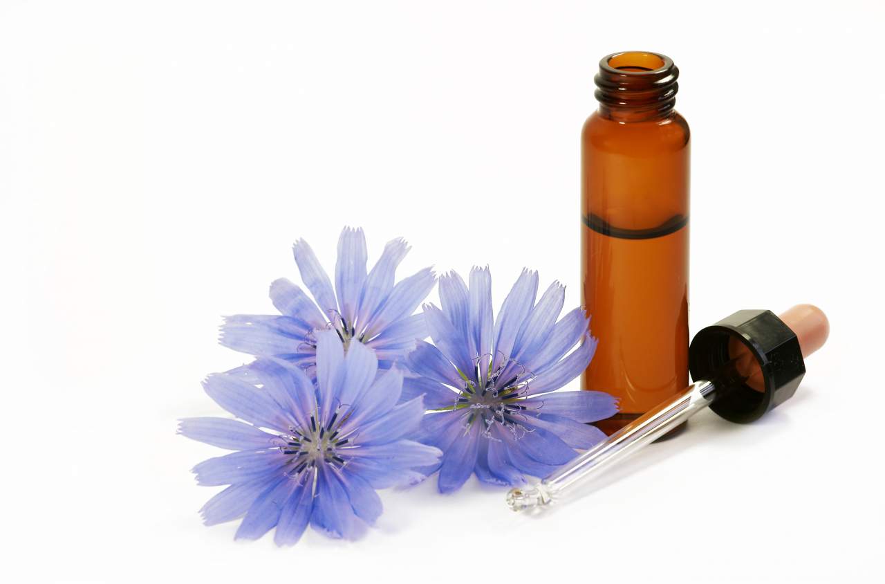 La terapia floral Flores de Bach para vivir mejor