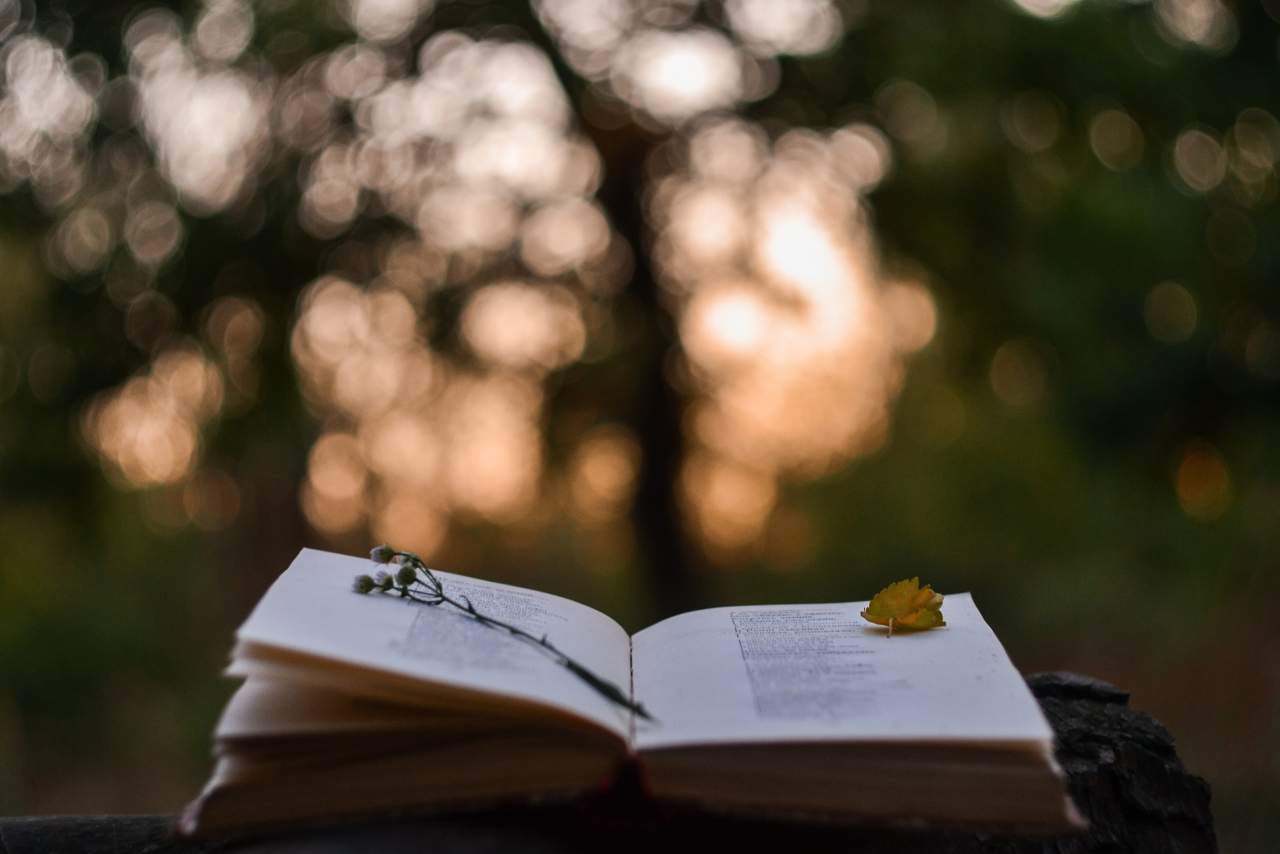 Digitalización de la poesía: la apuesta de Fundación Alambique
