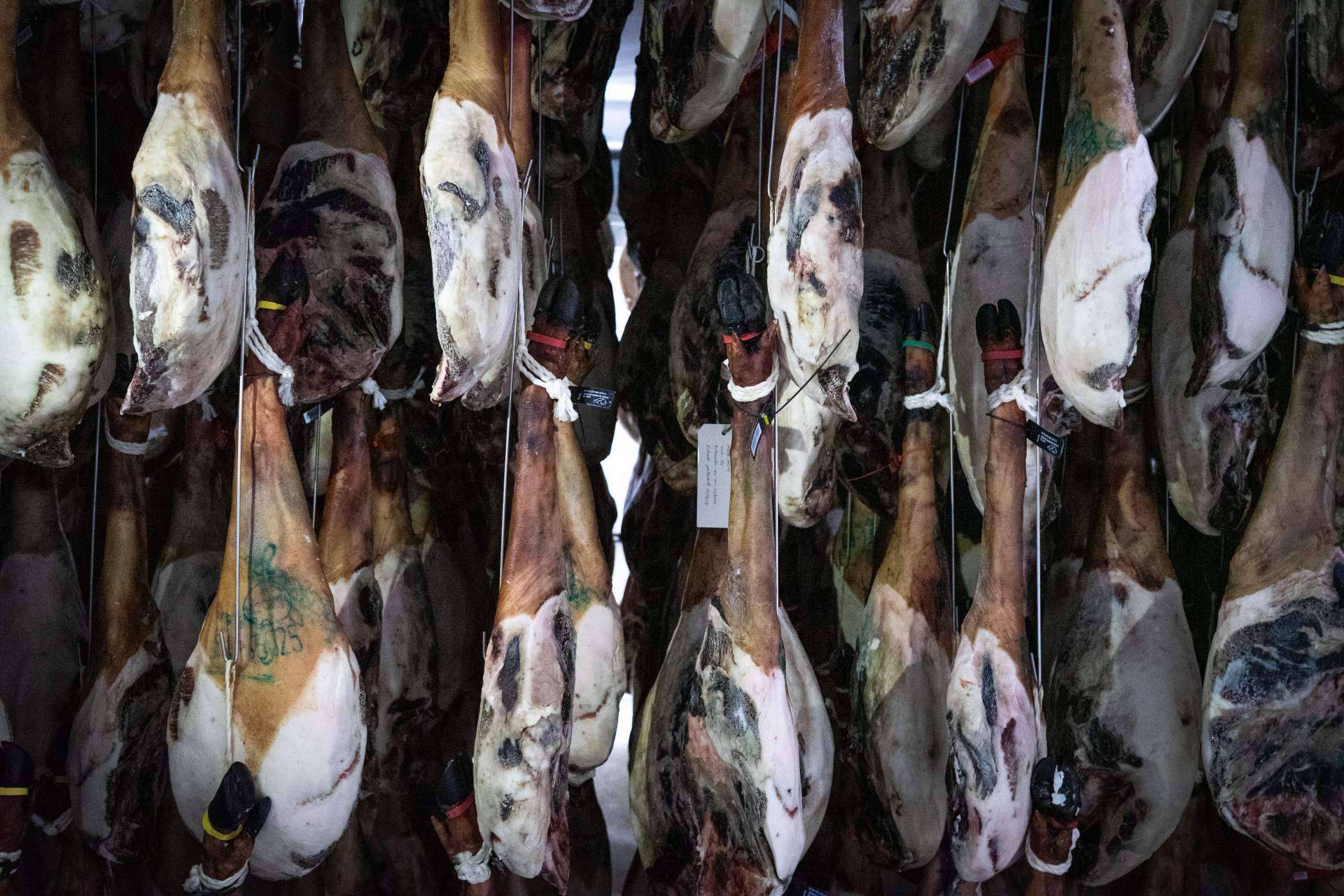 ¿Cuáles son los beneficios del jamón ibérico de bellota según los expertos?