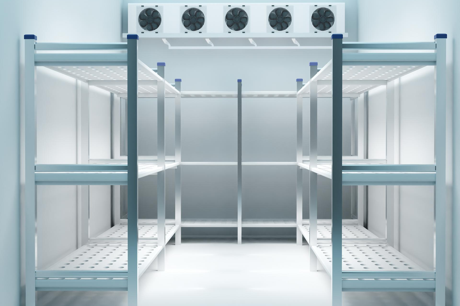 Aacore Supply: ¿Cuáles son las cámaras frigoríficas para pescaderías más populares en España?