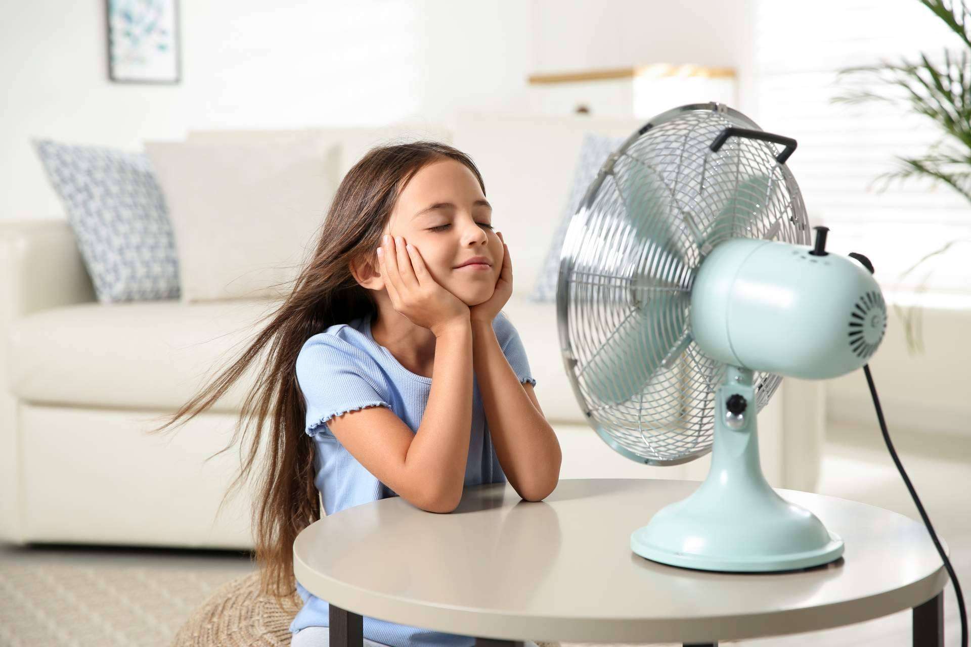 Ventiladores de Suministros Tomás Beltrán, el mejor aliado para el calor en verano