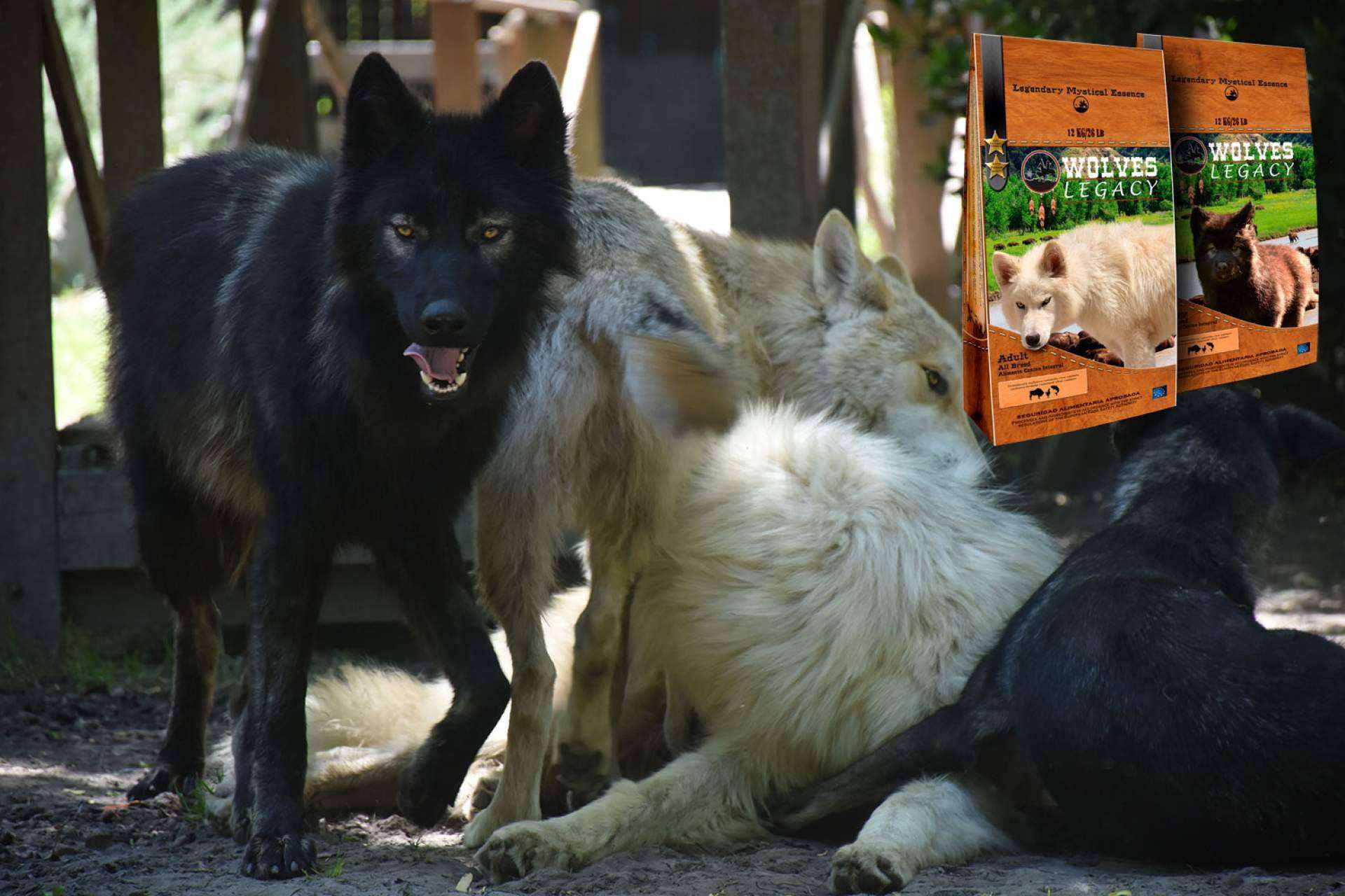 Lobos y perros lobos CRW: la manada de Wolves Legacy
