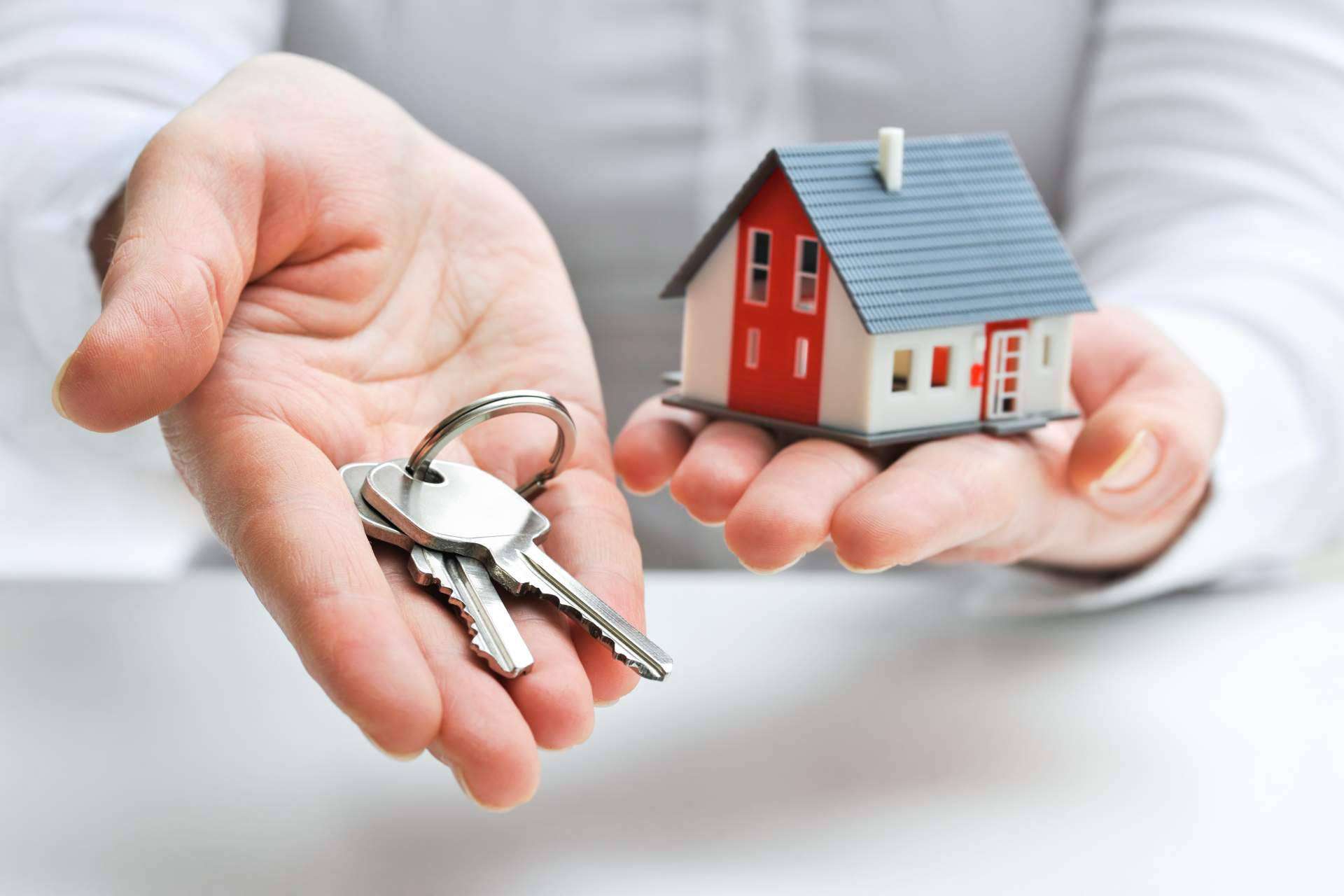 Best House: un año más como referente en franquicias rentables