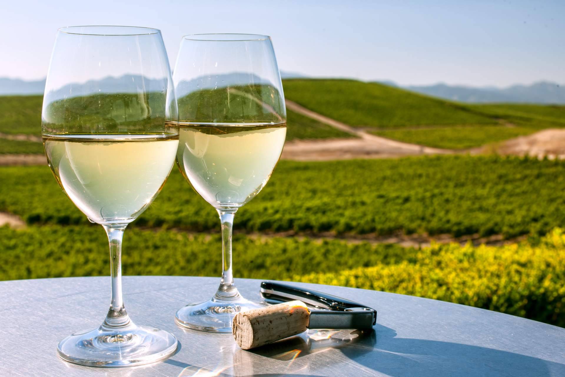 Vinos del Marco de Jerez: naturalidad y sabor con De Gálvez