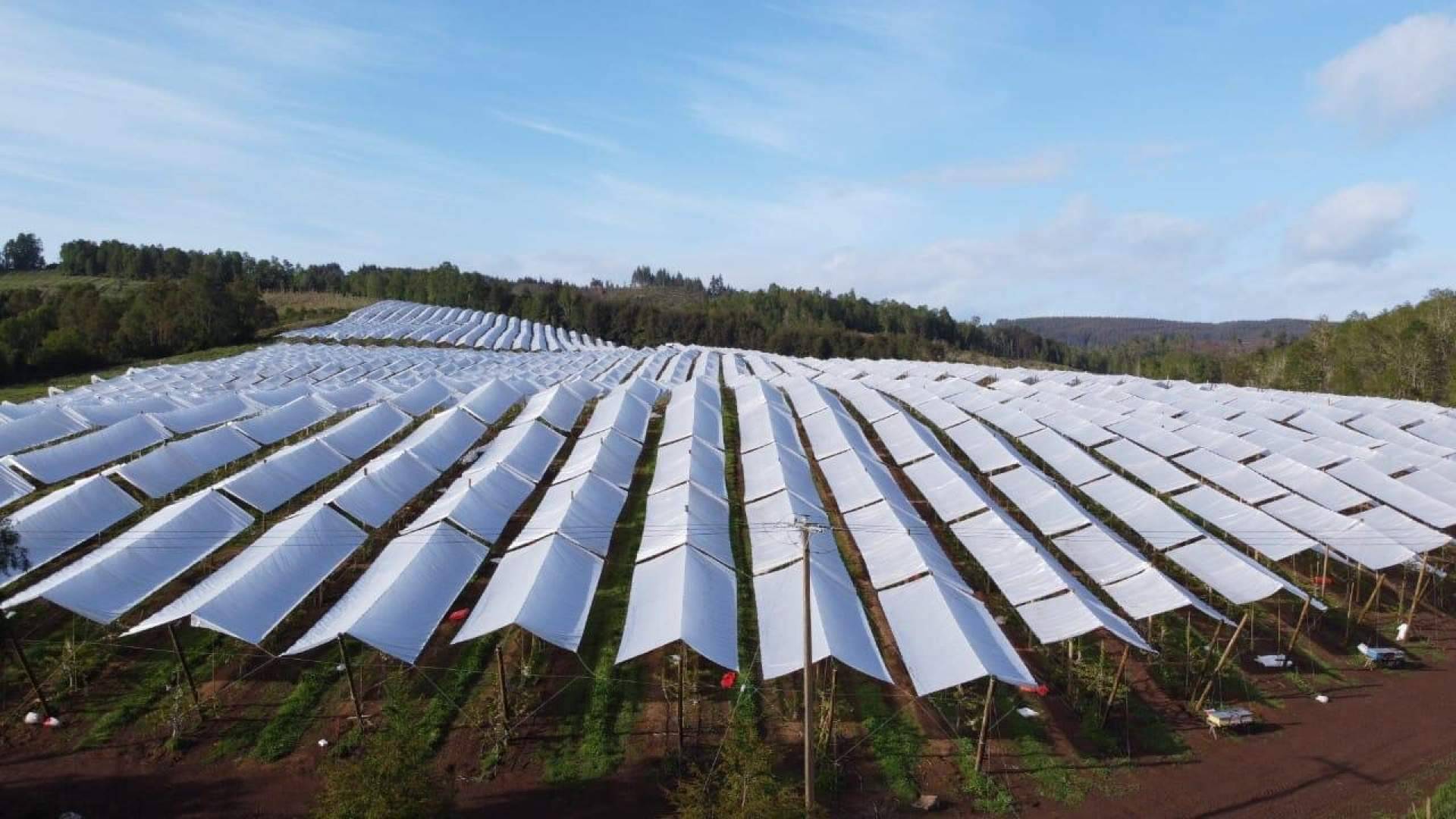 AGRICOVER, el gran paquete tecnológico de Agralia