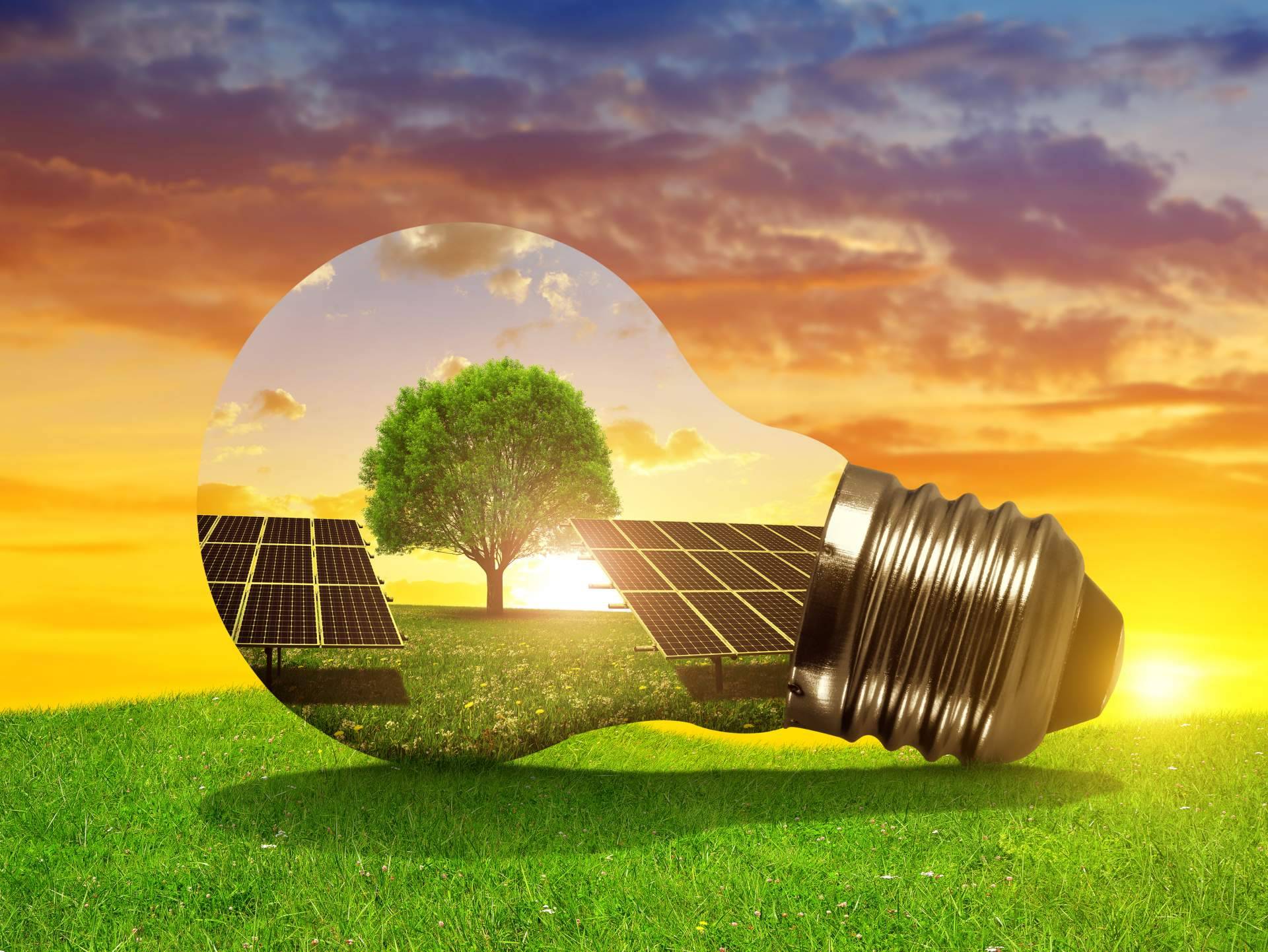 Asesoramiento para ahorrar luz: Ahorro Direct