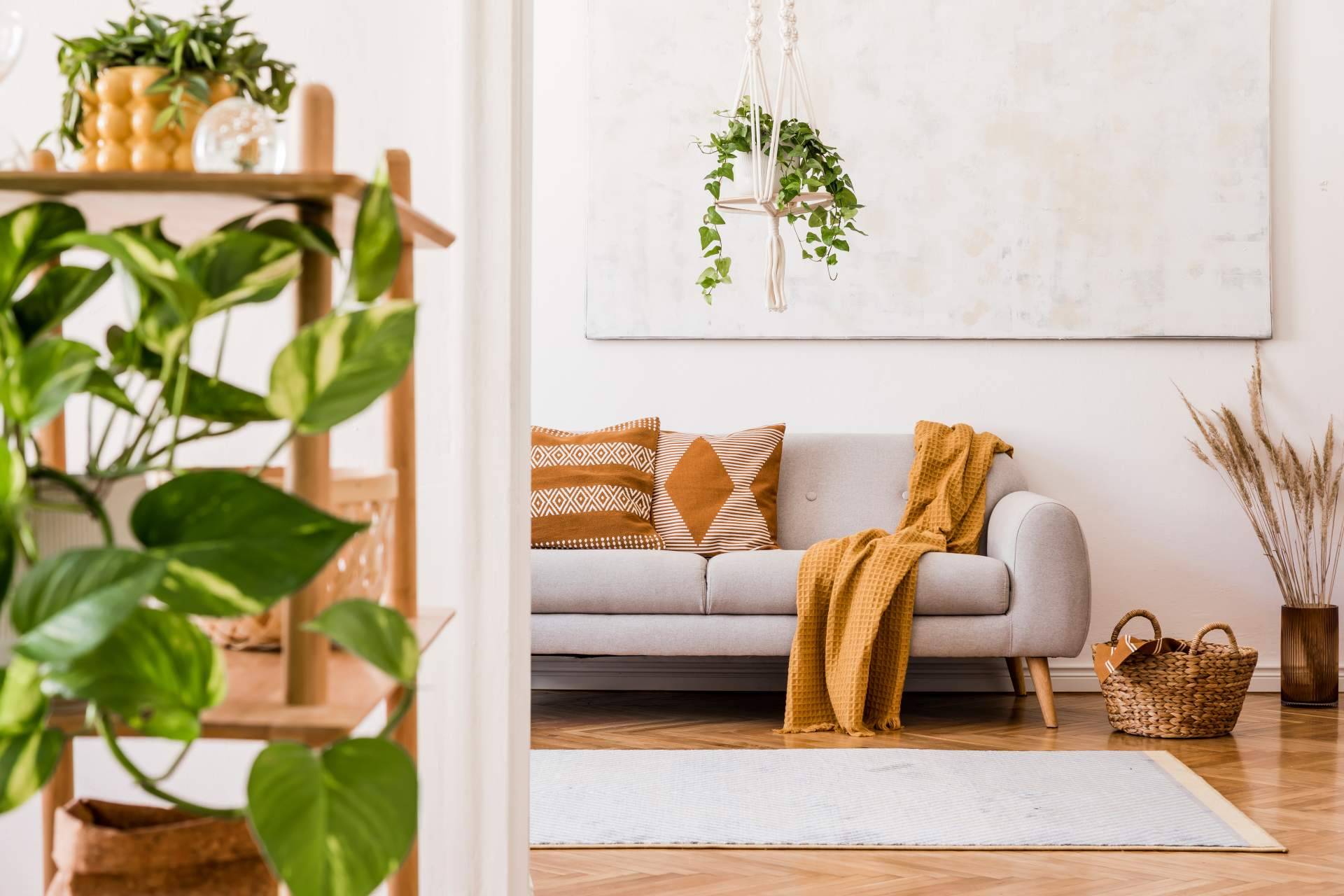 Mejorar la experiencia de la gestión integral de apartamentos turísticos con MyRentalHost