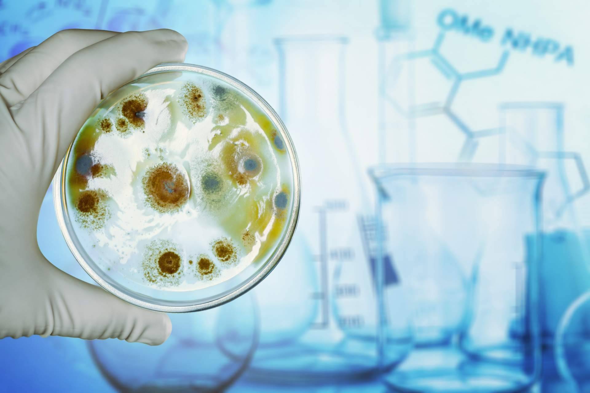 Entrevista a Dr. Fernando Ruger Viarengo, director de la unidad de microbiota intestinal de la CLÍNICA UMEBIR