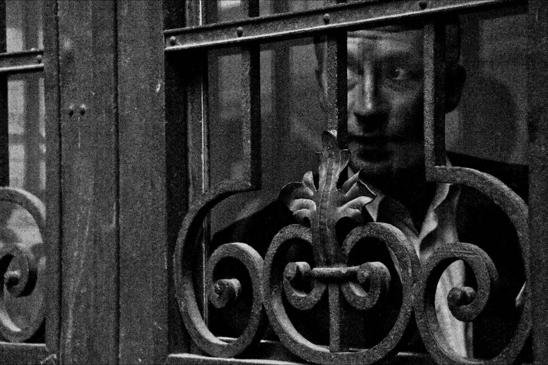 El drama oscuro de Vuelo de Rapiña: el libro de cuentos de Paul Seaquist