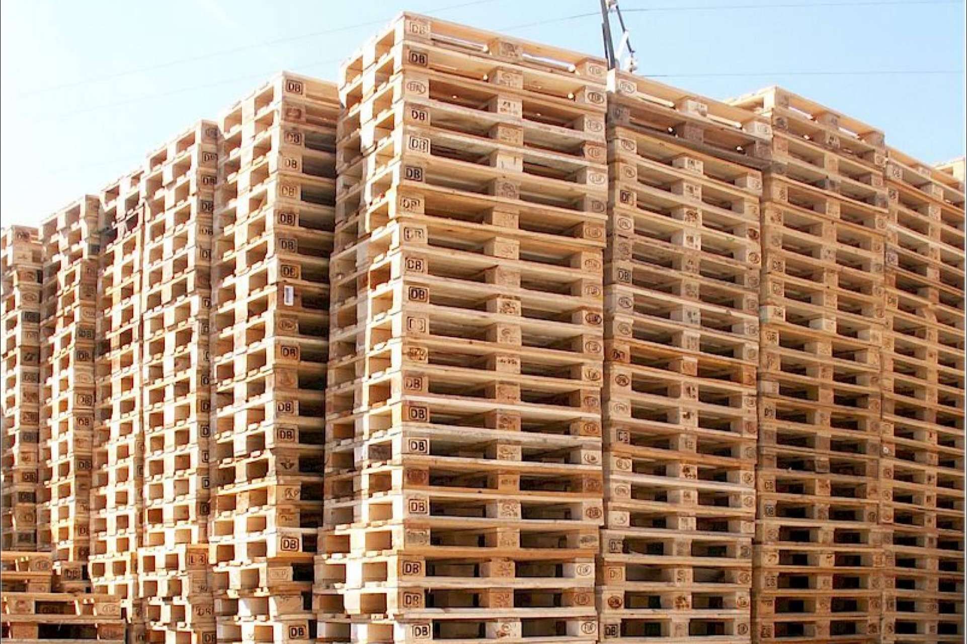 ¿Cómo ha afectado la crisis de materias primas a nivel internacional a la producción de palets?: Europalet