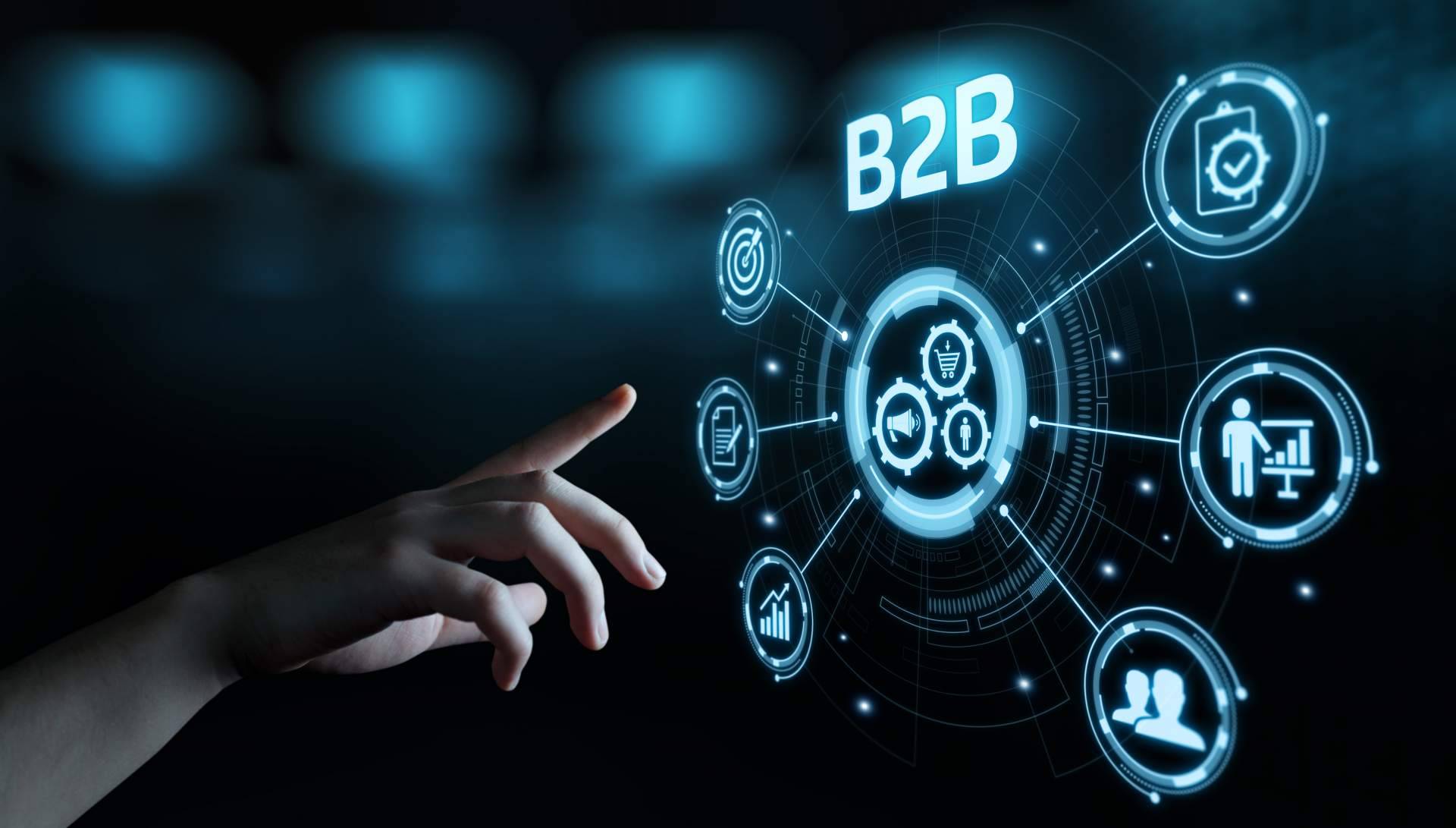 El comercio electrónico: soluciones informáticas para negocios B2B de Pentapps