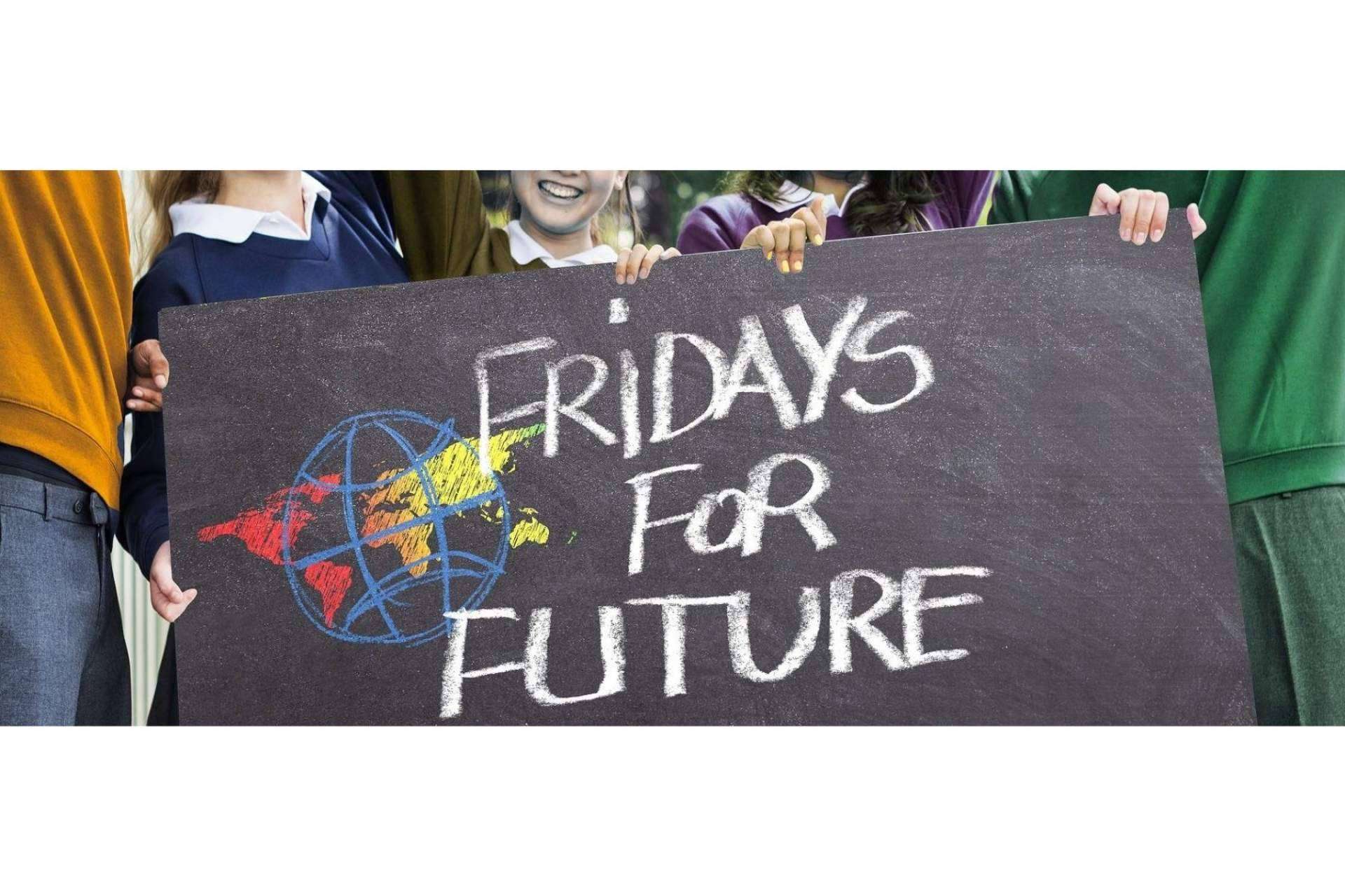 Ecoescuela: la implicación de los centros escolares en la lucha contra el cambio climático