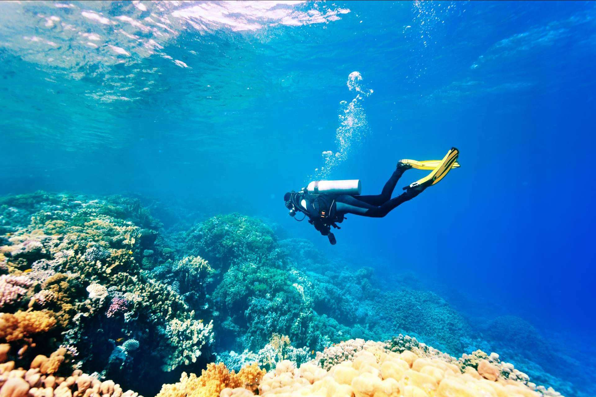 Gestión Emocional: cursos de gestión de estrés en el buceo