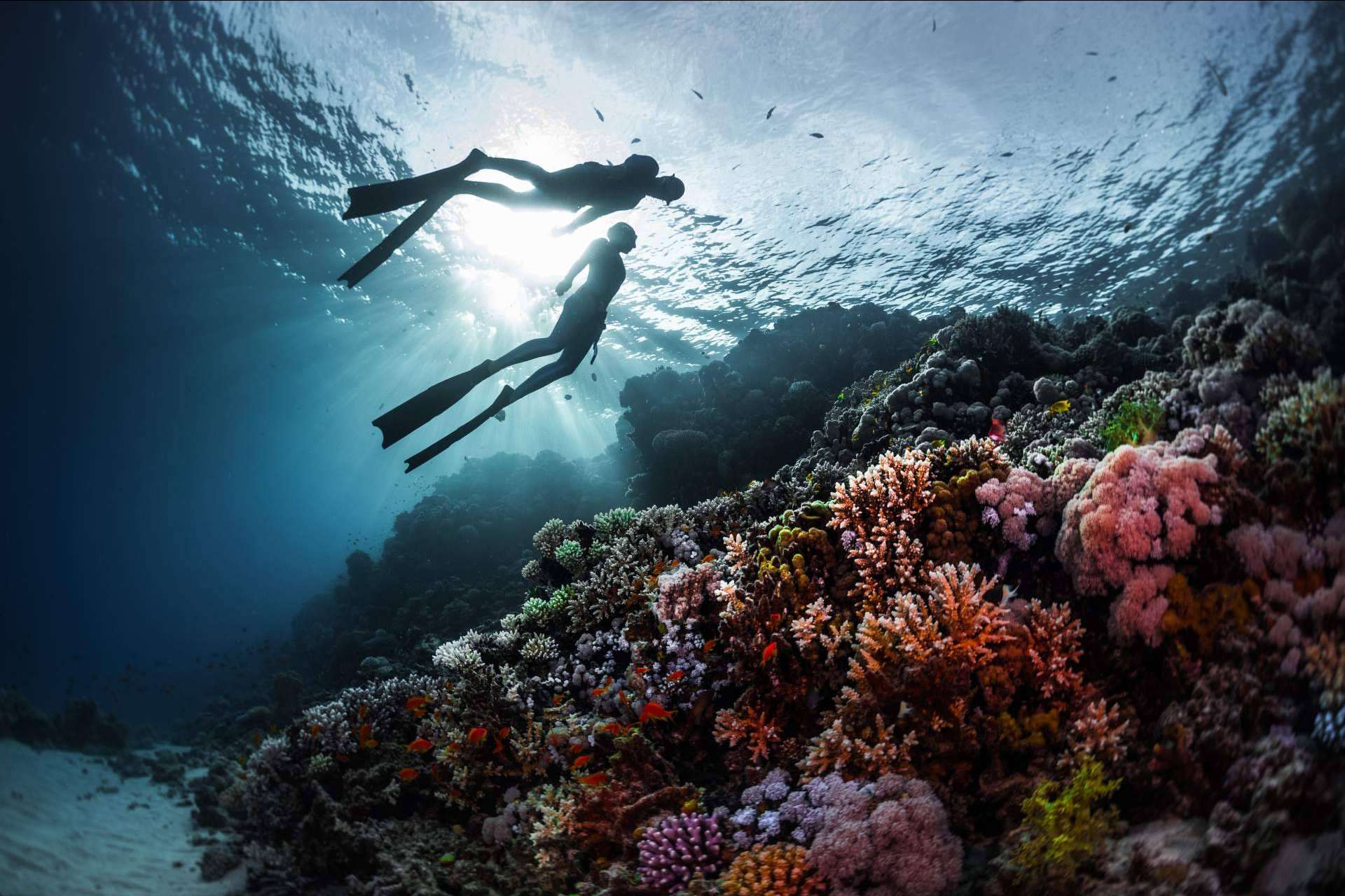 ¿Cómo gestionar el estrés en el buceo con el equipo de Gestión Emocional?