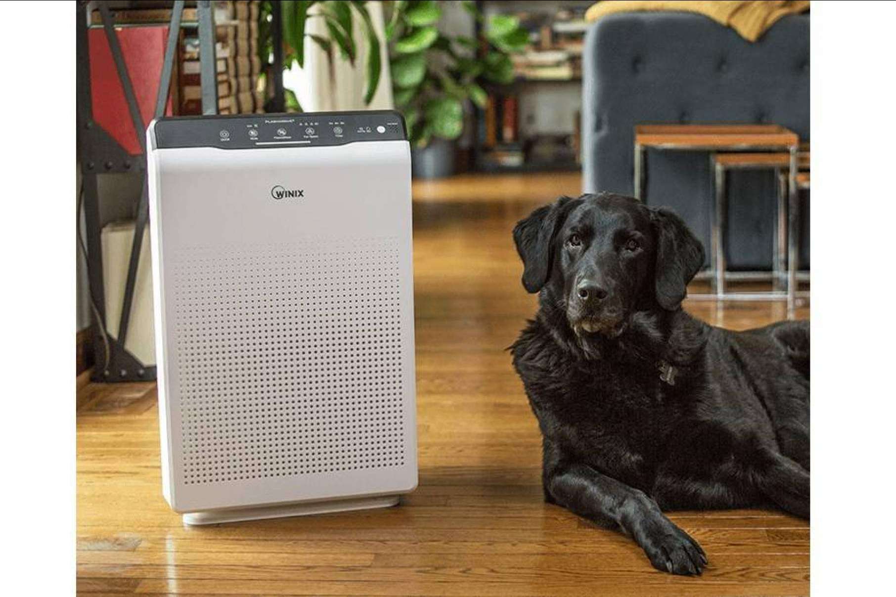 Purificadores WINIX de Protect Soiart Distribución