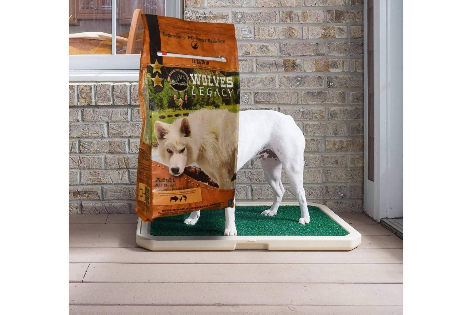 Wolves Legacy: los piensos para perros líderes en el mercado ¿Deberían ser variados?