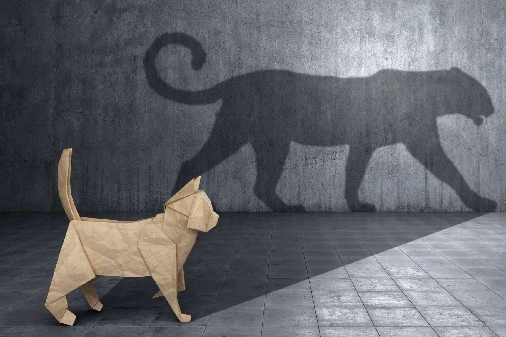 Ejecución de la transformación de empresa con el apoyo de la compañía Manager in Motion