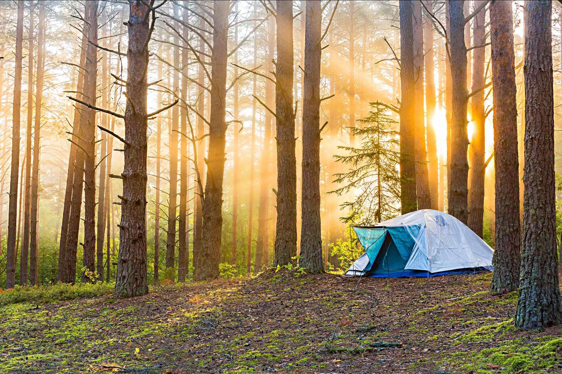 Dar la vuelta al mundo con el campamento de aventura de Aventurarte