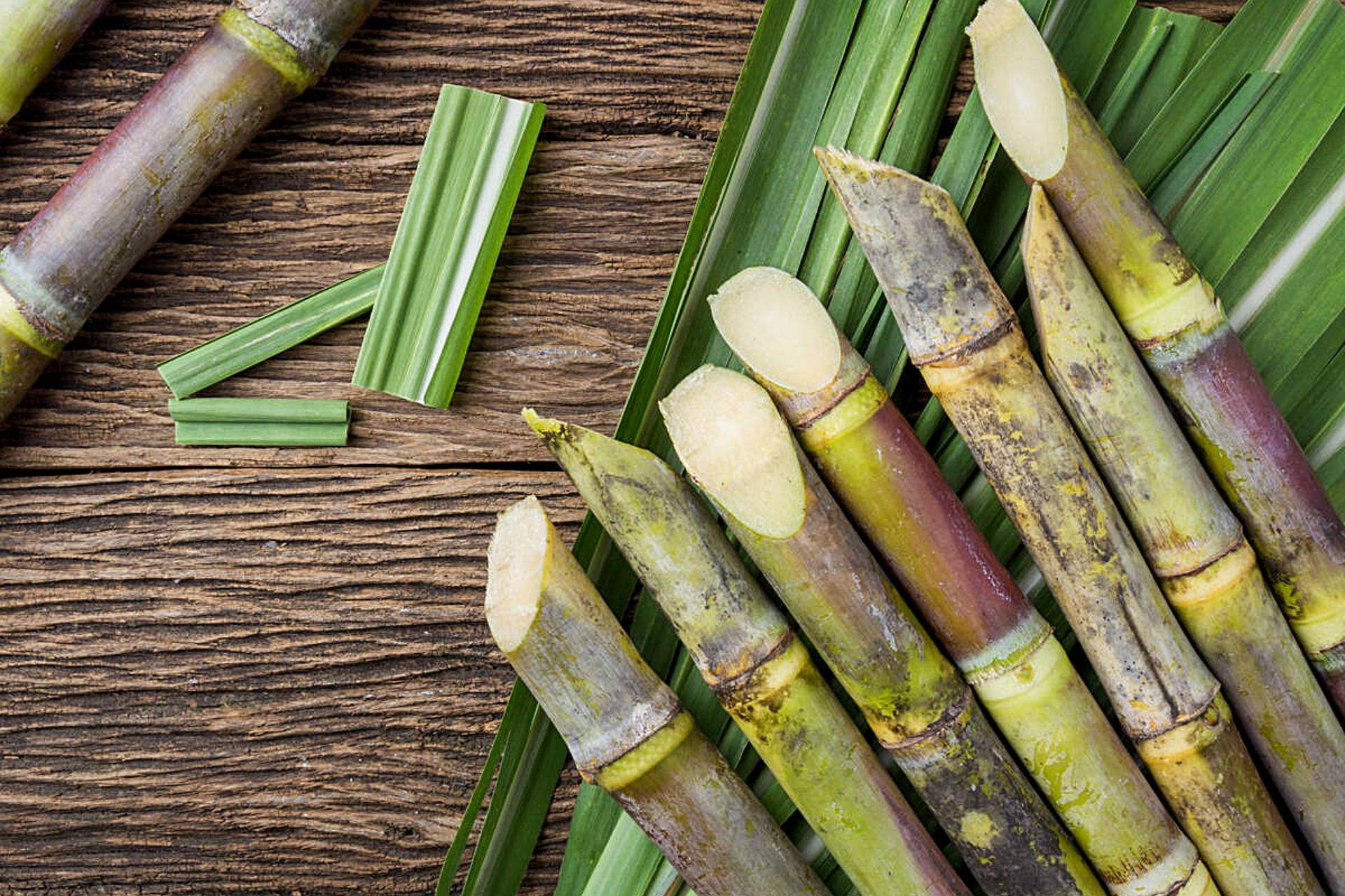 CAÑAPACK supone la revolución del packaging sostenible respetuoso con el medioambiente