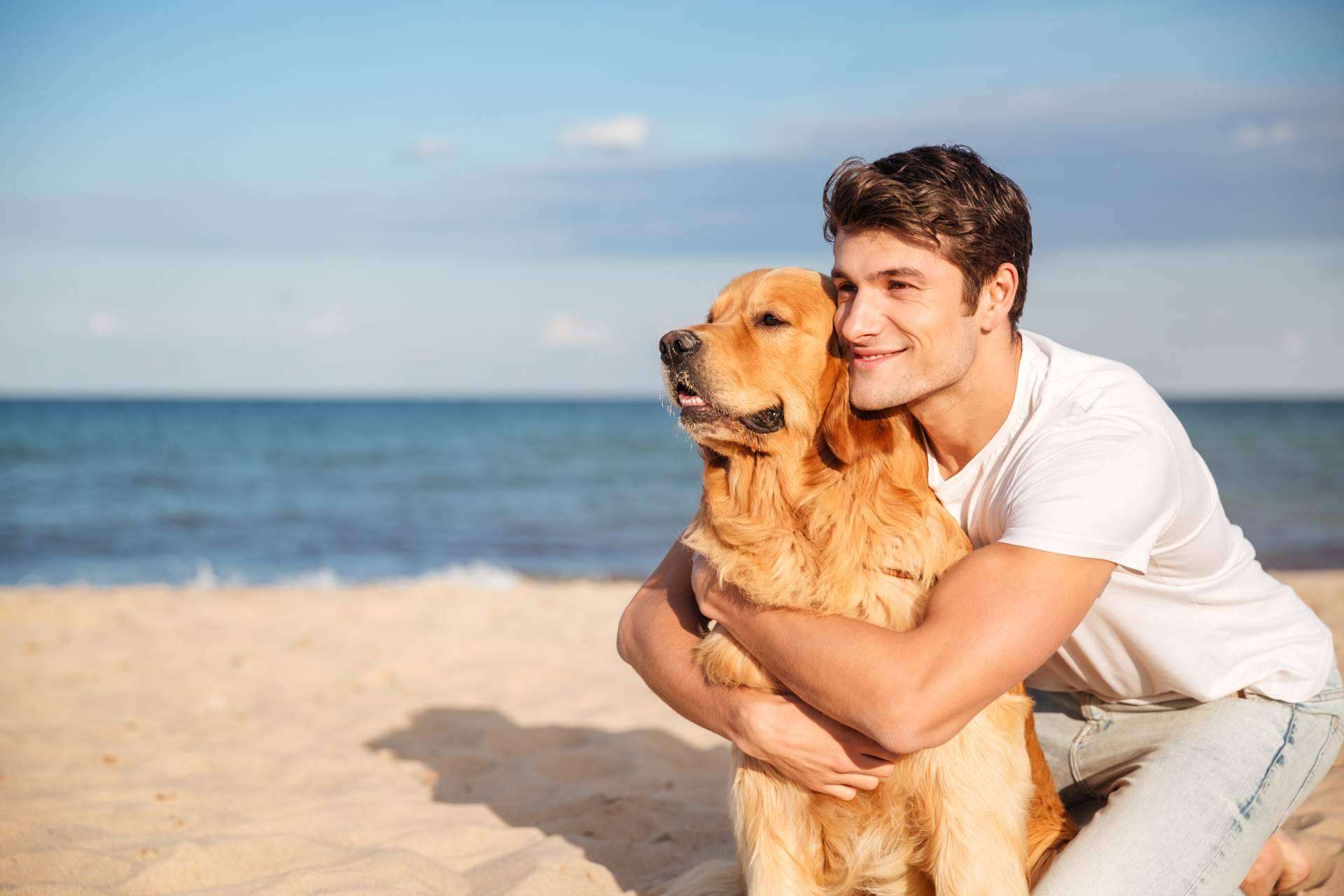 Miwuki Pet Shelter, la plataforma para adoptar y apadrinar animales