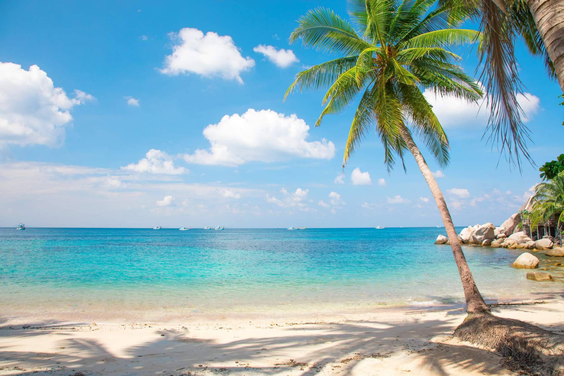 Felices Vacaciones ofrece múltiples propuestas para los españoles que buscan el sol en el Caribe durante la temporada de invierno