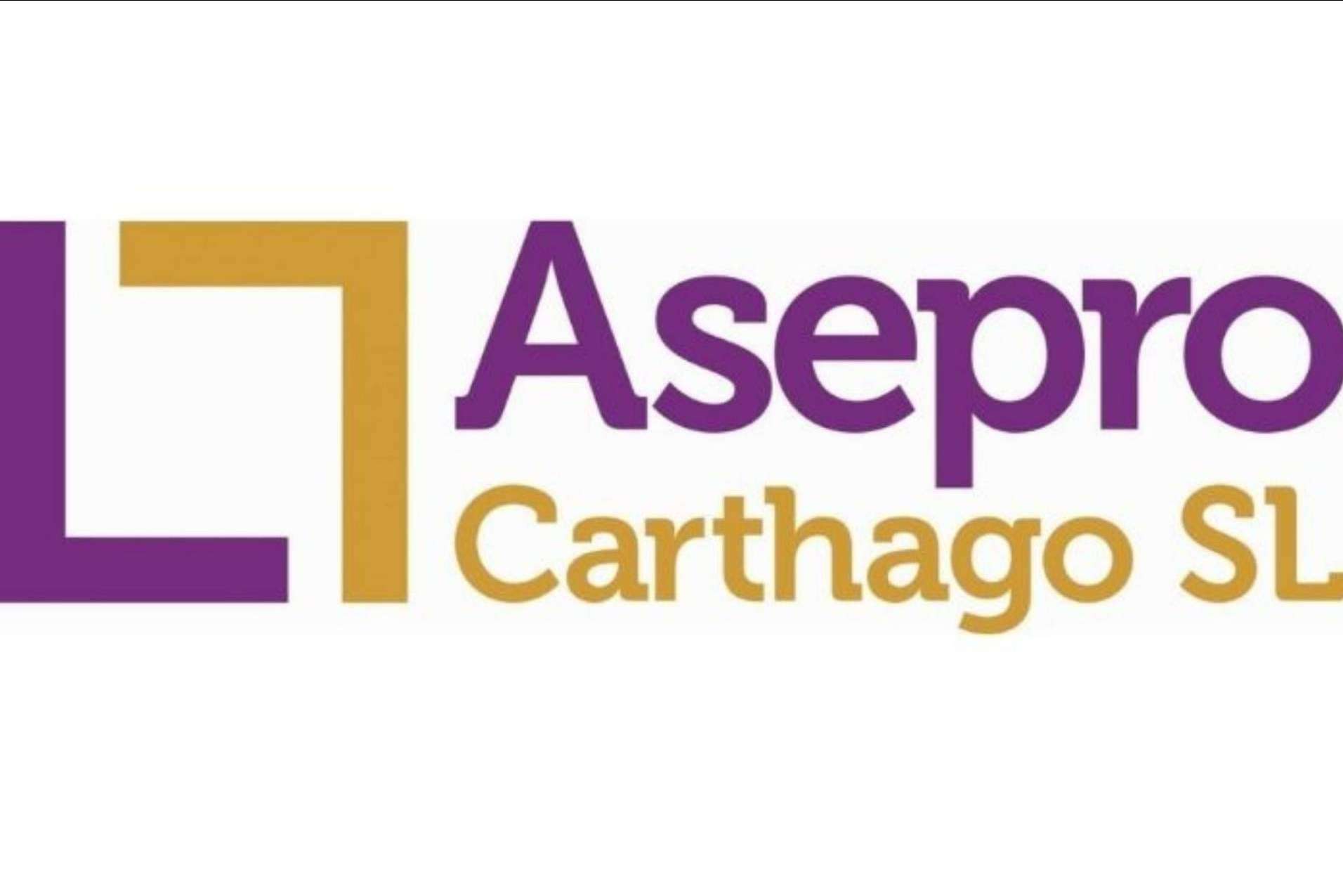 Fiscalidad de los negocios digitales en el caso de los creadores de contenido, por Asepro Carthago