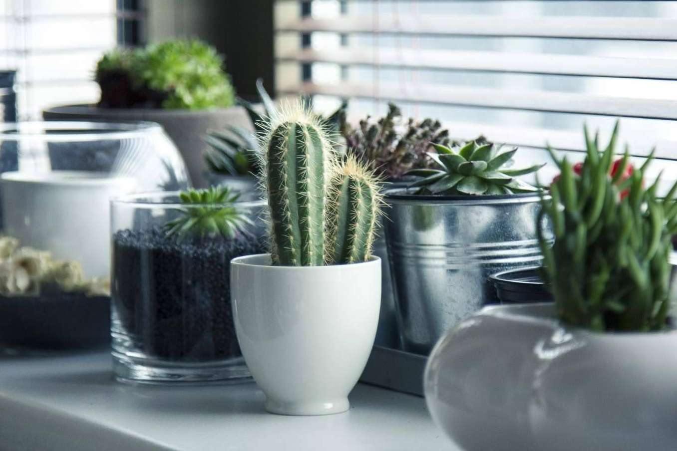 Diferentes estilos en la decoración del diseño de interiores en el estudio Decorando Tu Espacio