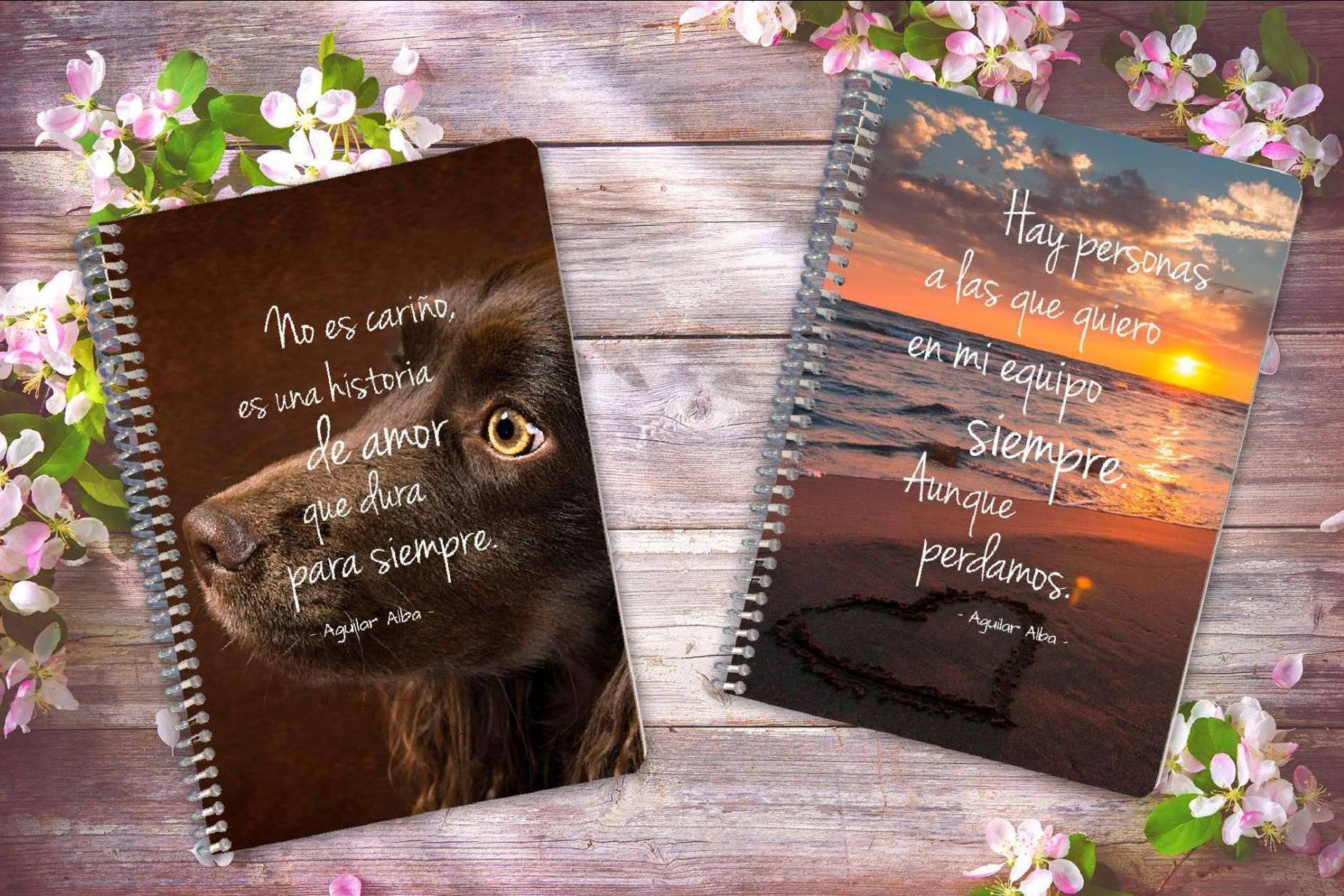 Los regalos divertidos de Tres en un Burro, agendas 2022 y libretas únicas