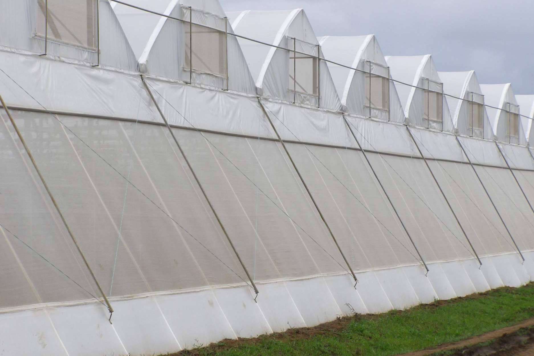 AGRICOVER, el nuevo paquete tecnológico de AGRALIA