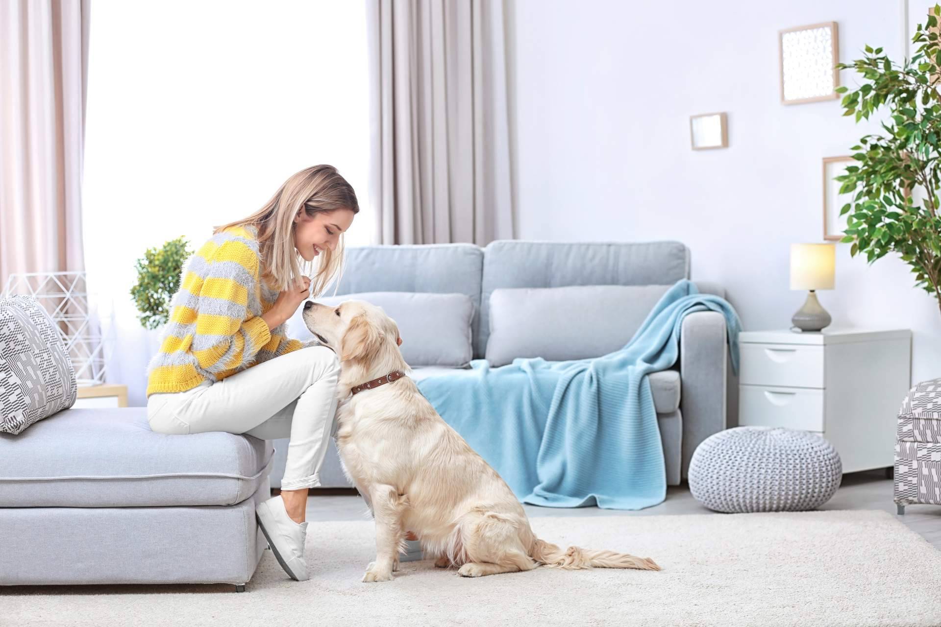 ¿Cómo tener una buena convivencia con perros y gatos? La antrozoología y etología del perro y del gato
