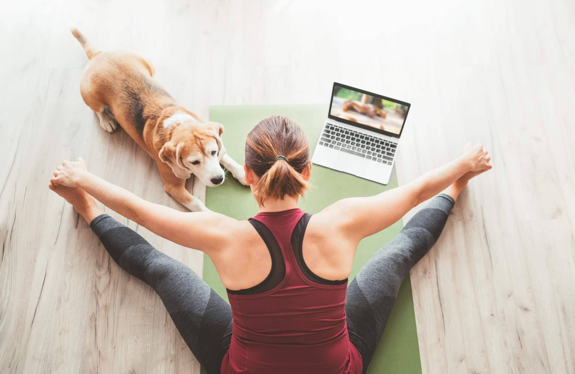 Cómo entrenar la fuerza desde casa de una forma divertida