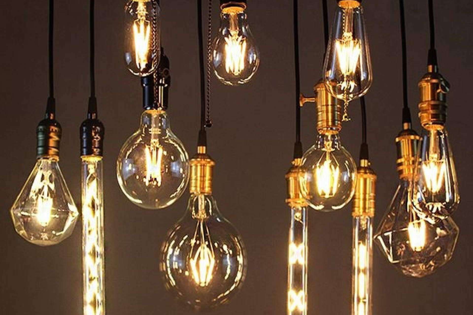 La relevancia de la iluminación decorativa durante la Navidad y los artículos que brinda Protect Soiart Distribución