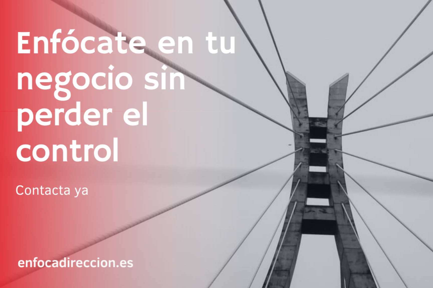 Enfoca Dirección expone los tipos de financiación para empresas que existen actualmente
