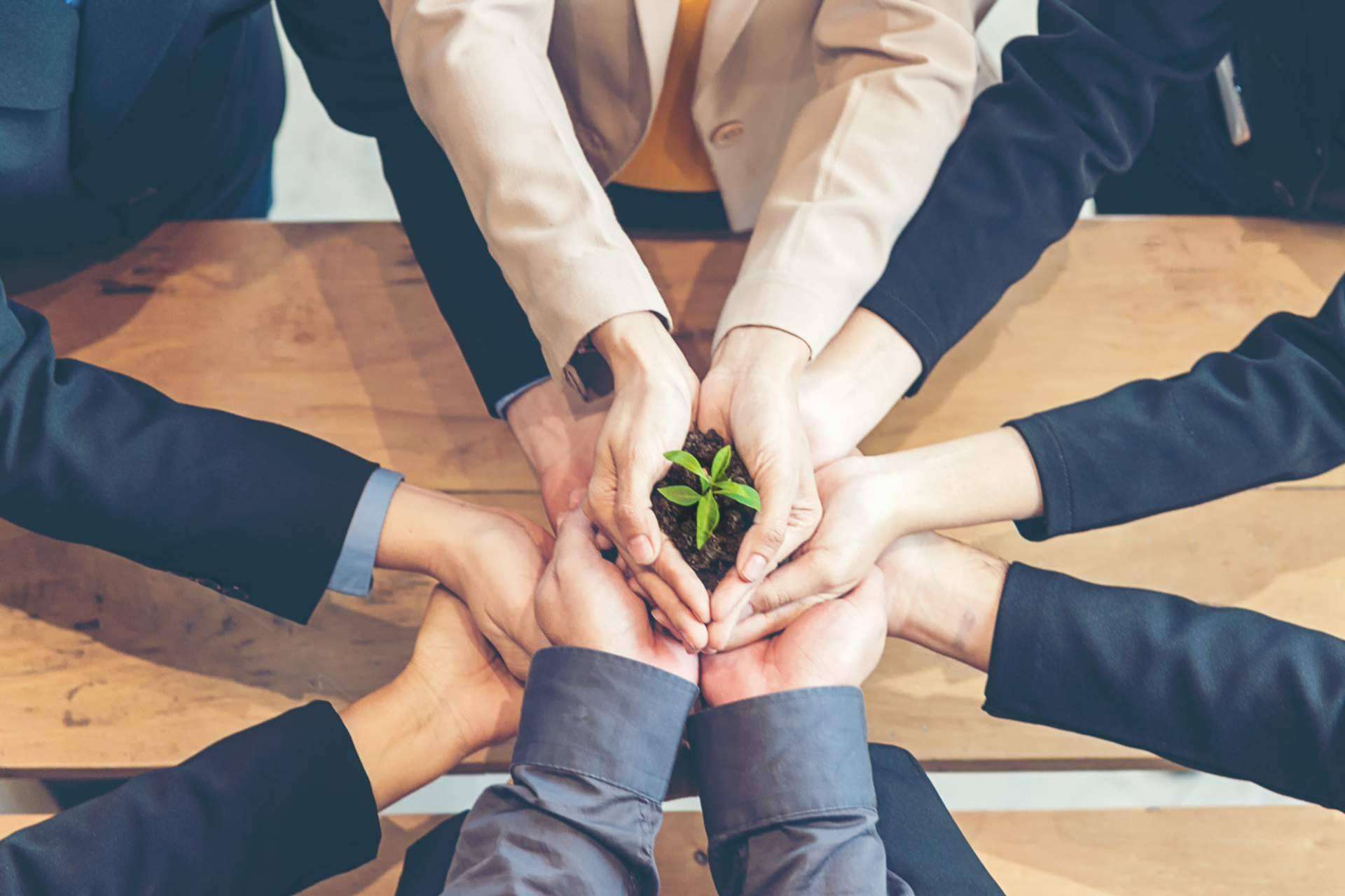 Ipostar y la responsabilidad ambiental empresarial