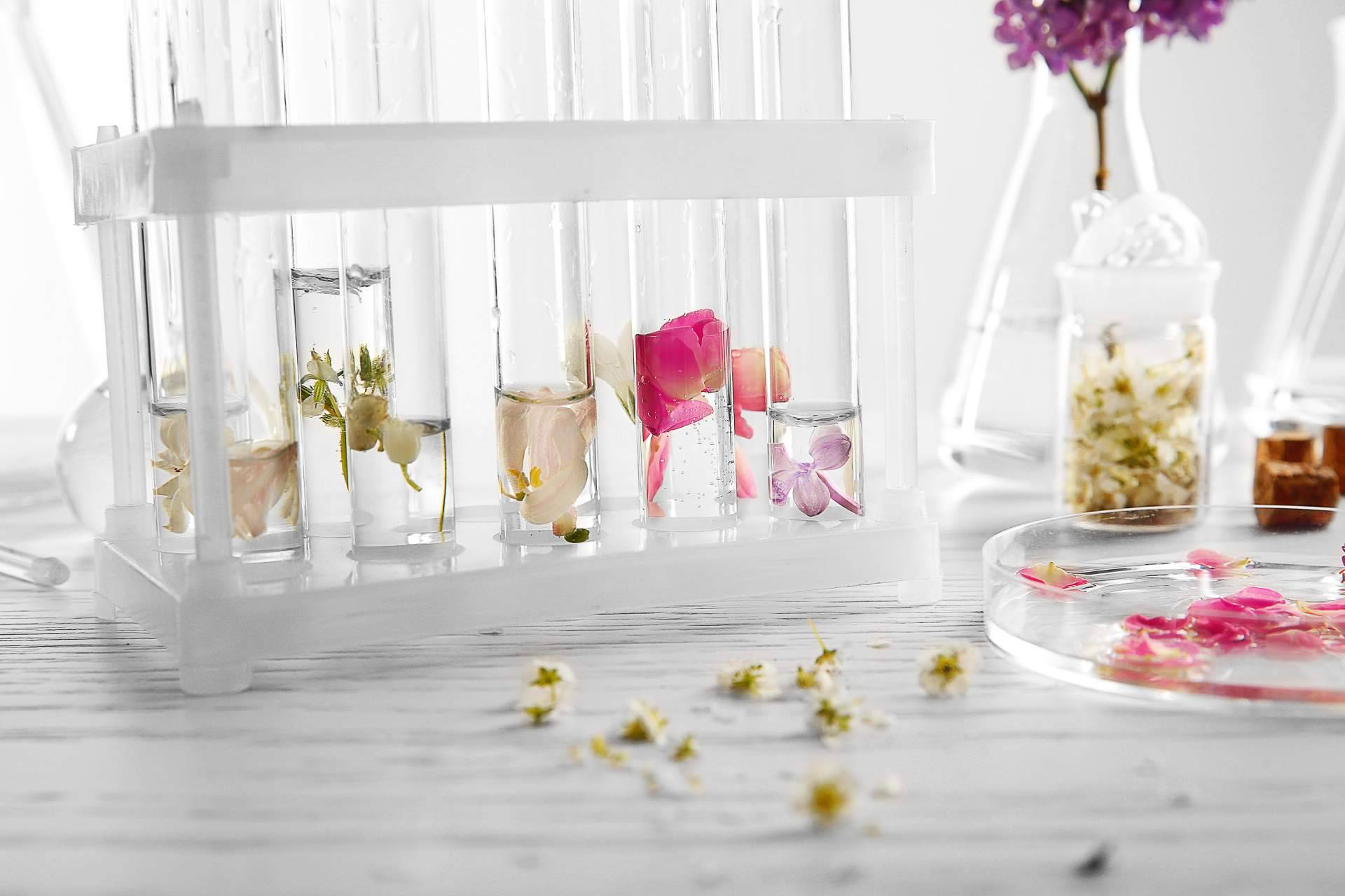 Los productos de cosmética y los perfumes que ofrece A de Ahorro