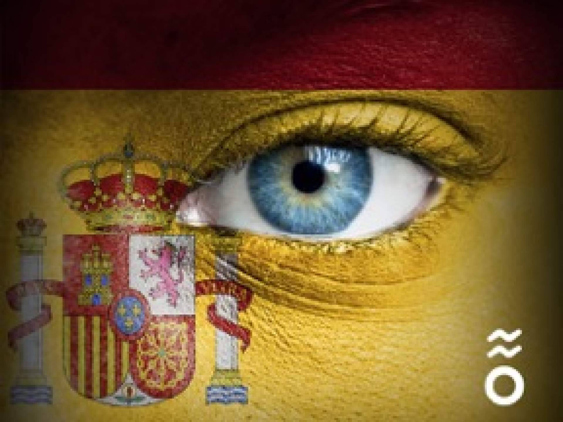El catálogo de ropa deportiva oficial de la selección española que ofrece ViveSelección para regalar en Navidad
