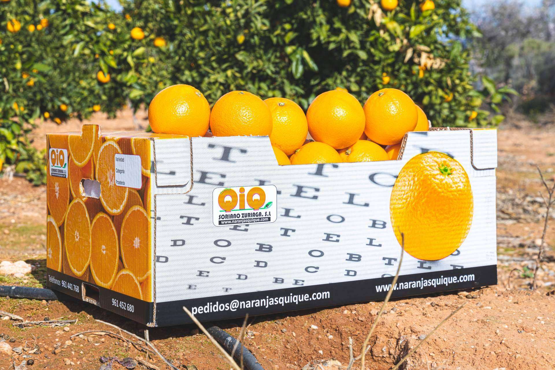 Naranjas Quique permite comprar naranjas online