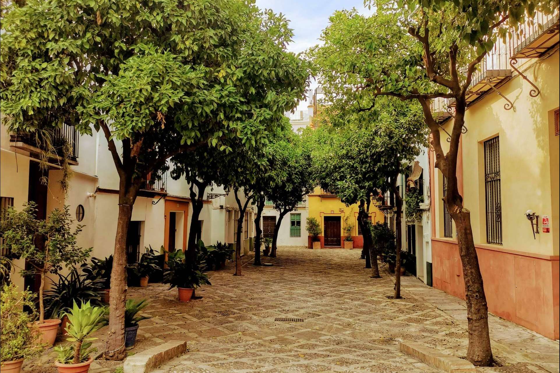 Visitas guiadas en Sevilla de la mano de Tu guía de Sevilla