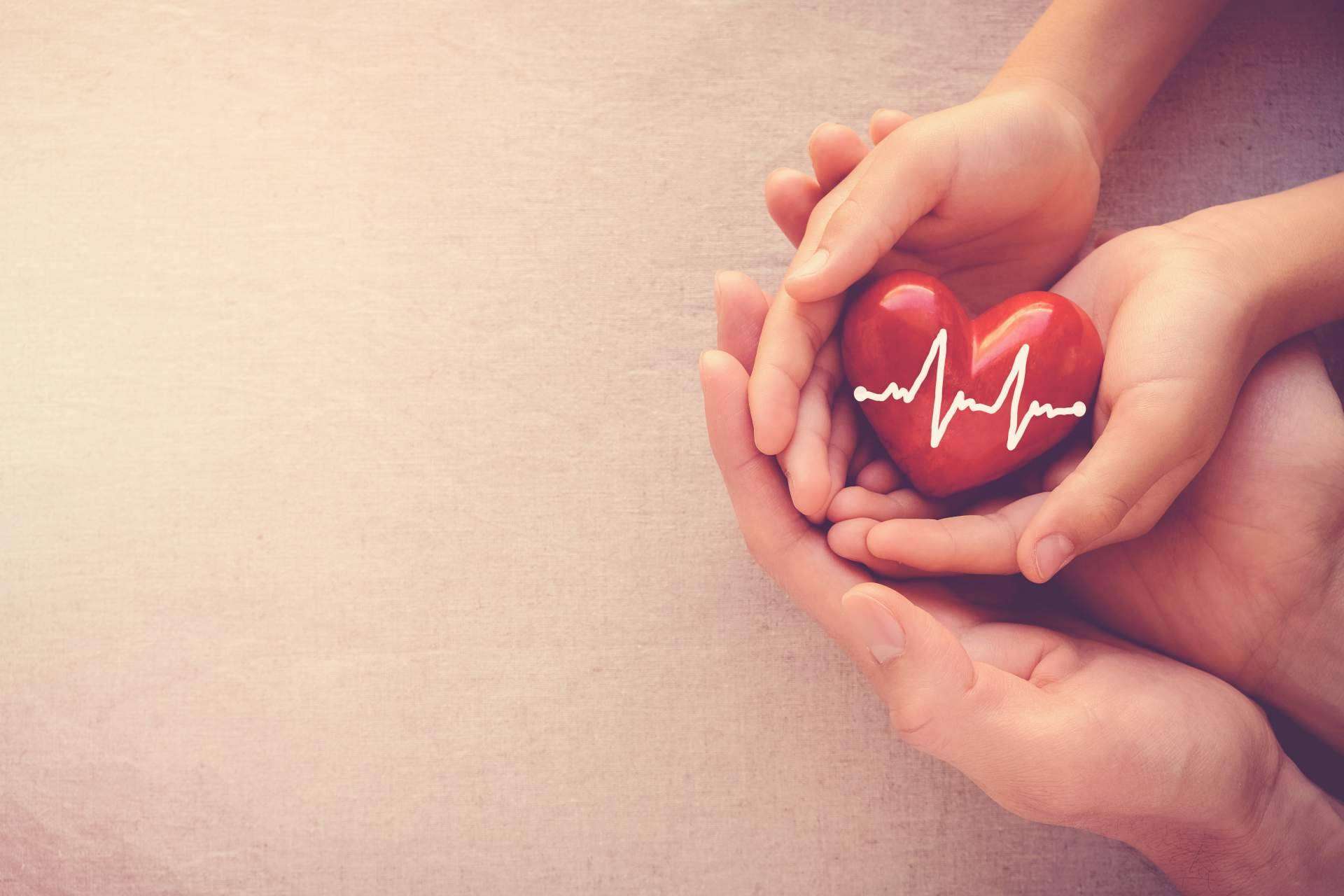 Tipos de seguros de vida que existen, por PuntoSeguro