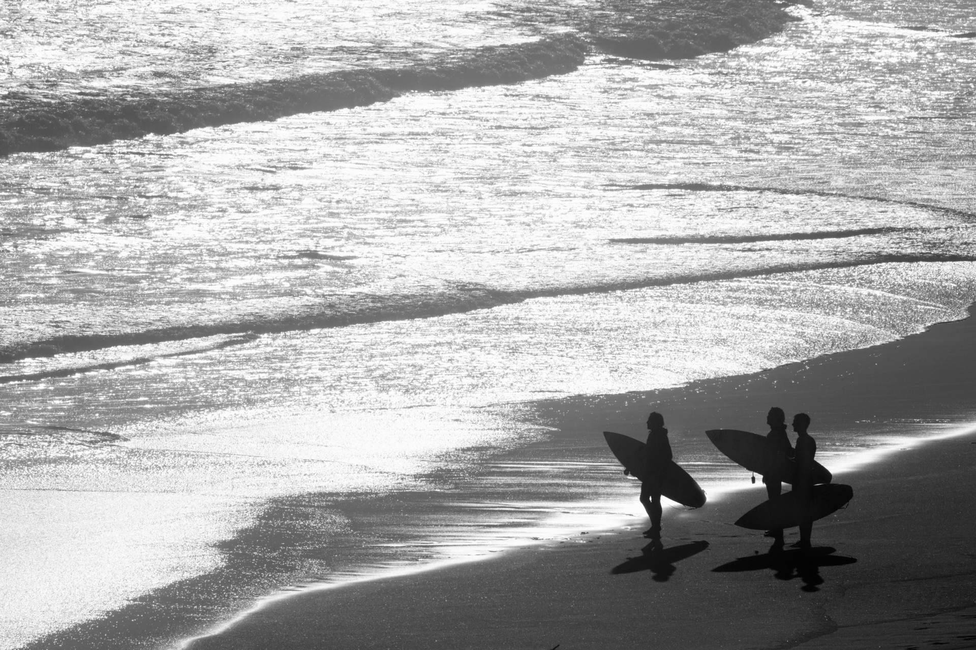 Tablas de surf para profesionales y principiantes de la mano de Watsay