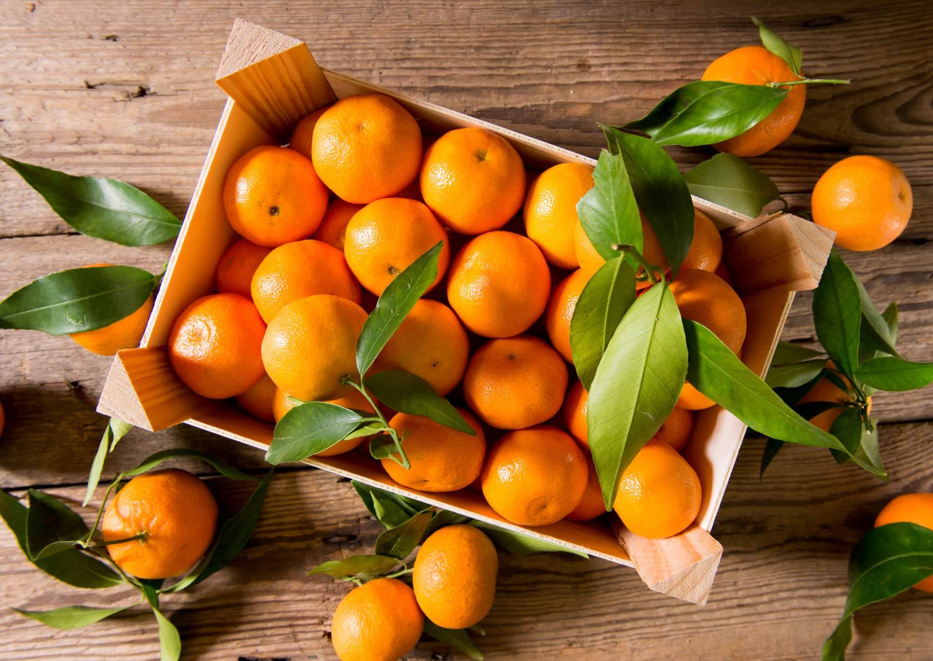Solucionar la crisis de precios en la agricultura con la venta online, por Sabor a Naranjas