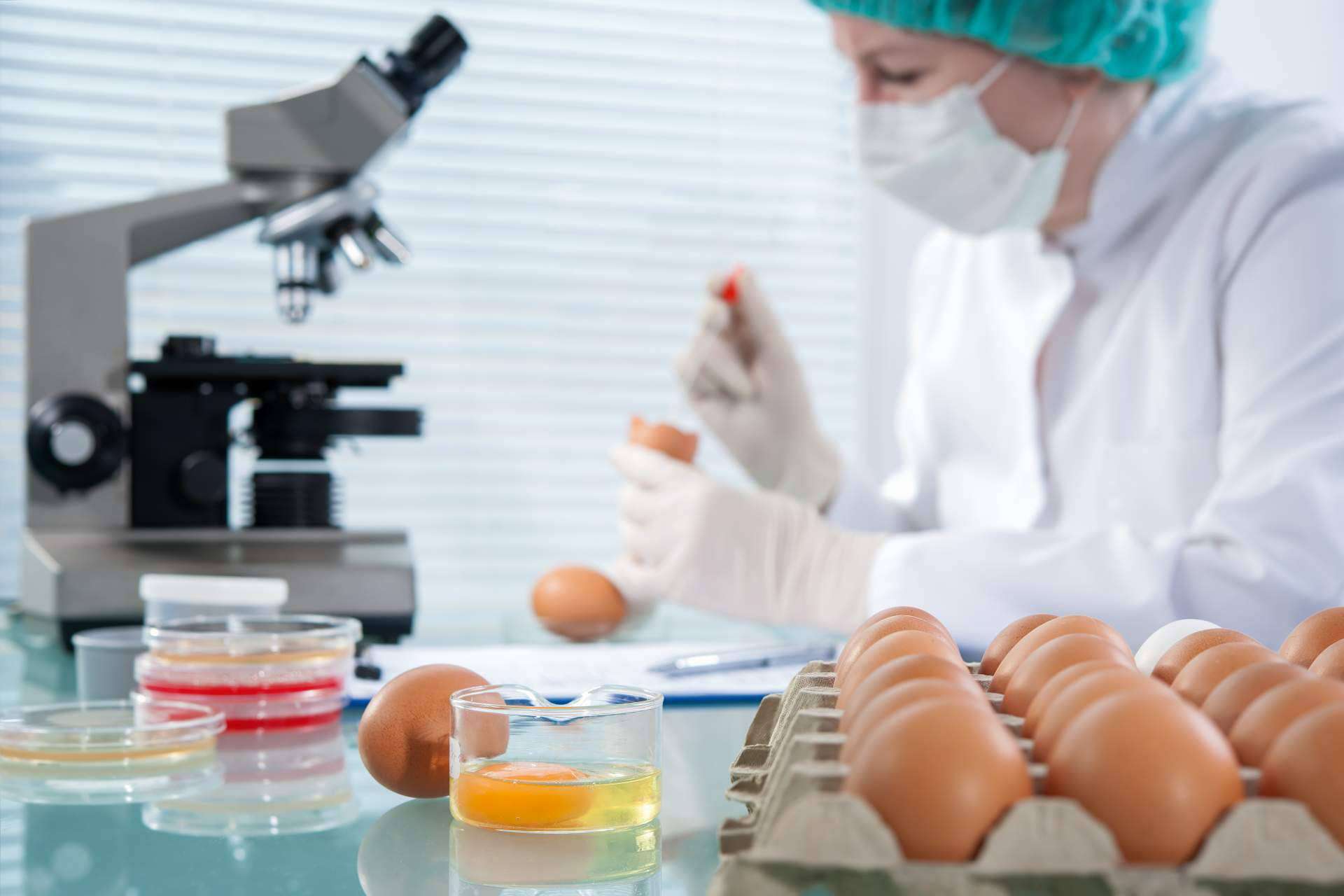 Seguridad alimentaria con Sigesmar, asesoría técnica para empresas y manipulación de alimentos