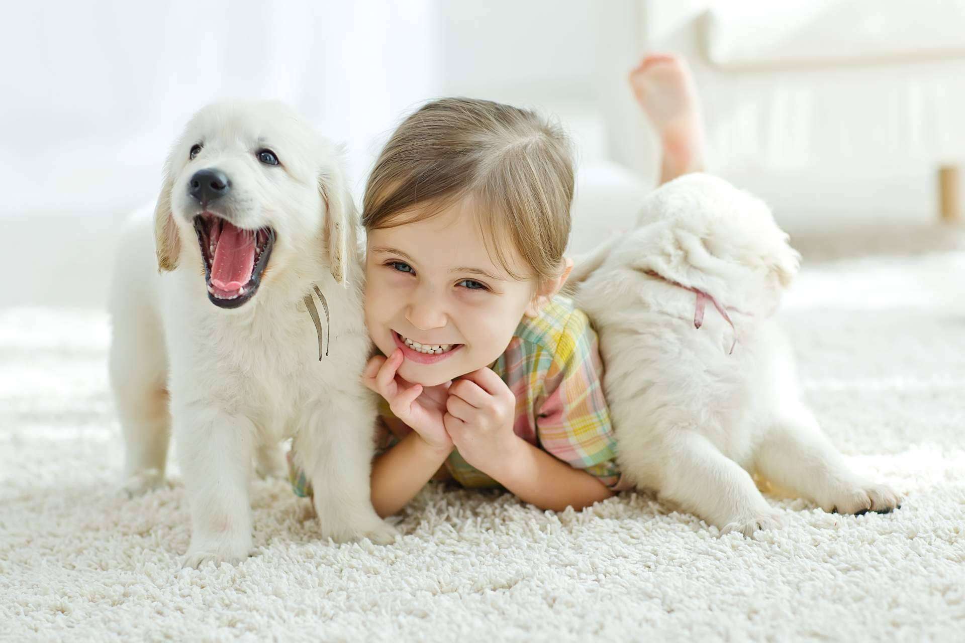Animales de compañía y el desarrollo infantil, cómo convivir con un animal de compañía adecuadamente ayuda a los niños y niñas