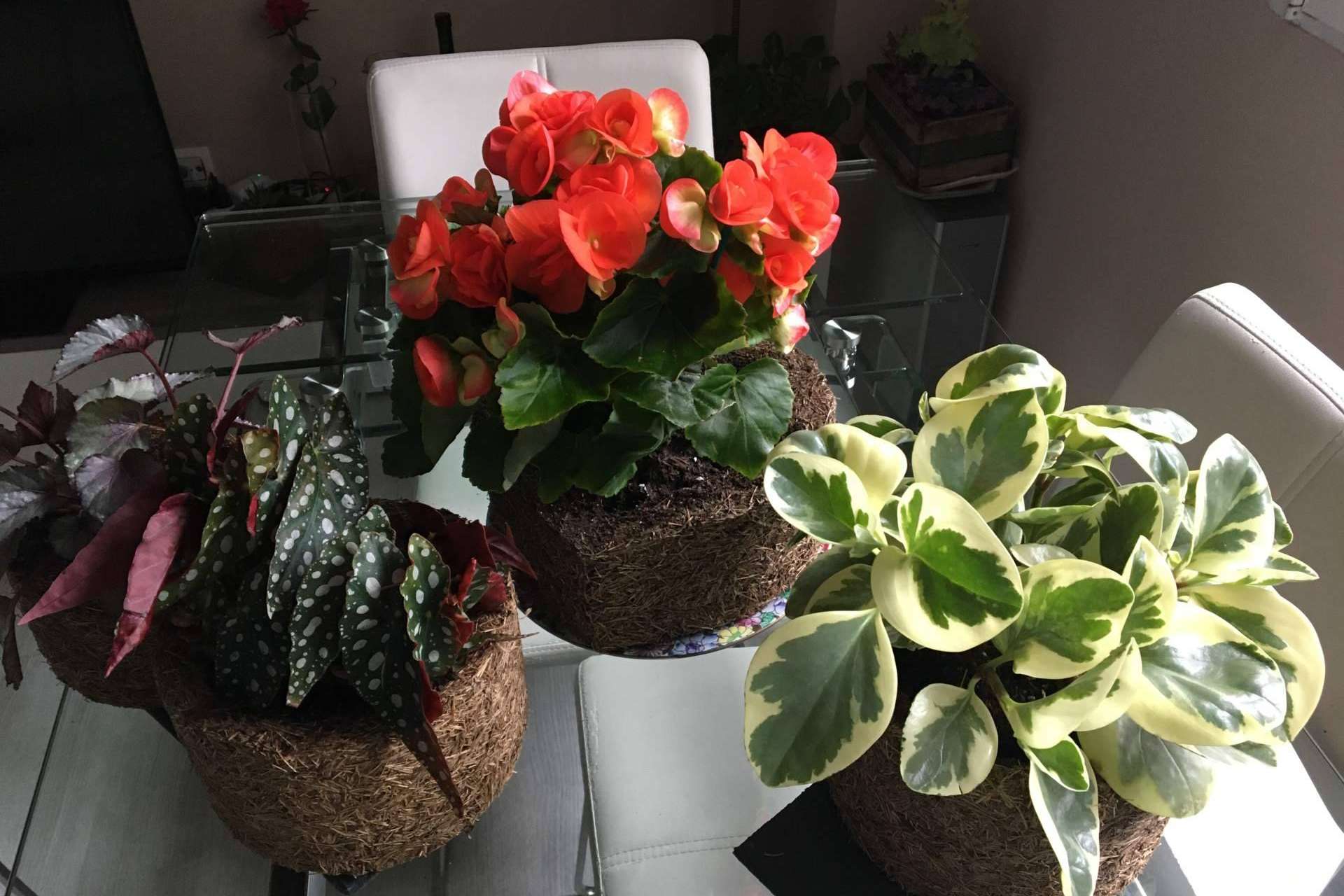 Dejar de usar plástico ya no es una tendencia de decoración, sino una prioridad para la salud humana