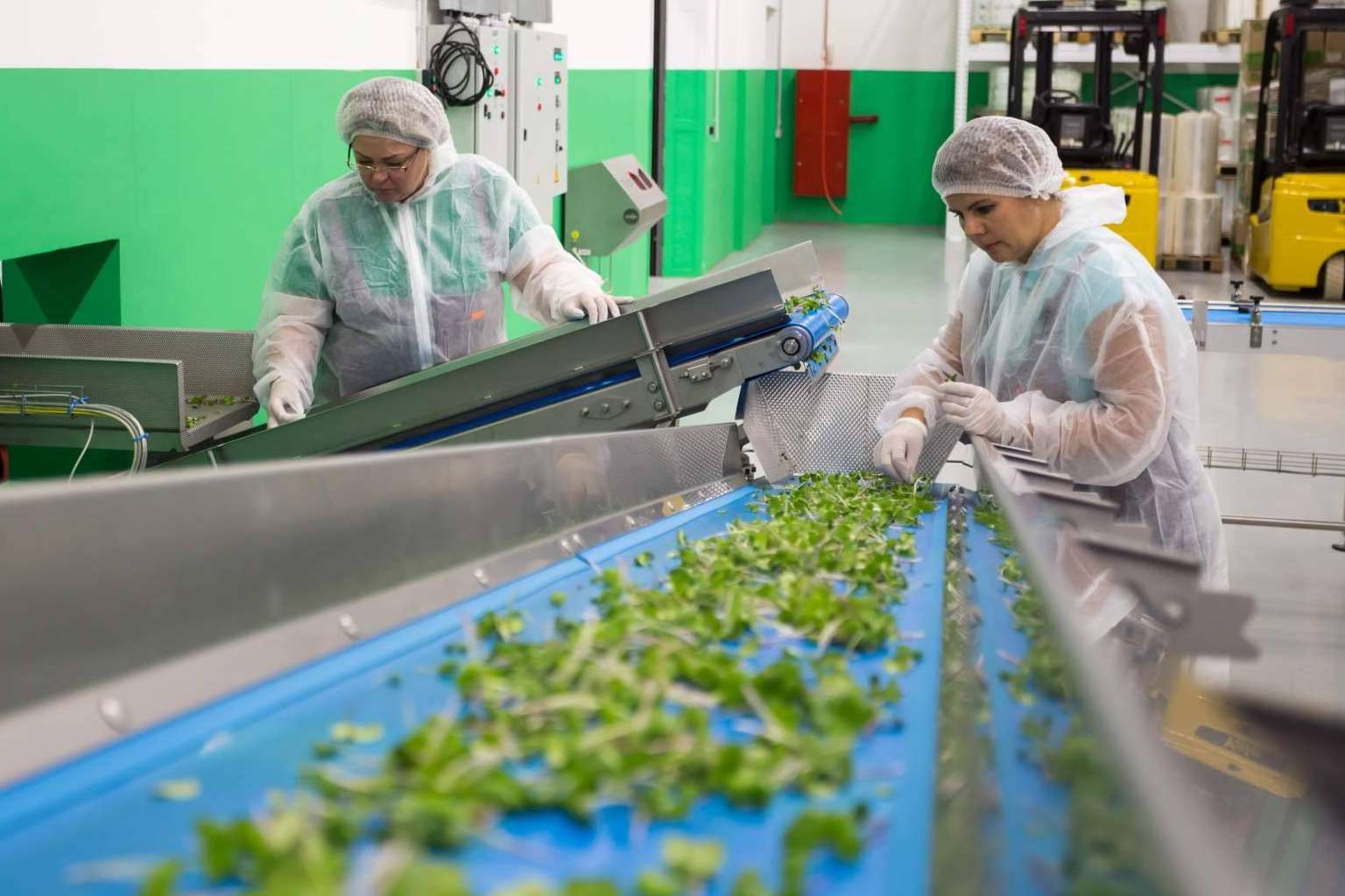 Registro y certificación de la Huella de Carbono de las empresas en la Región de Murcia