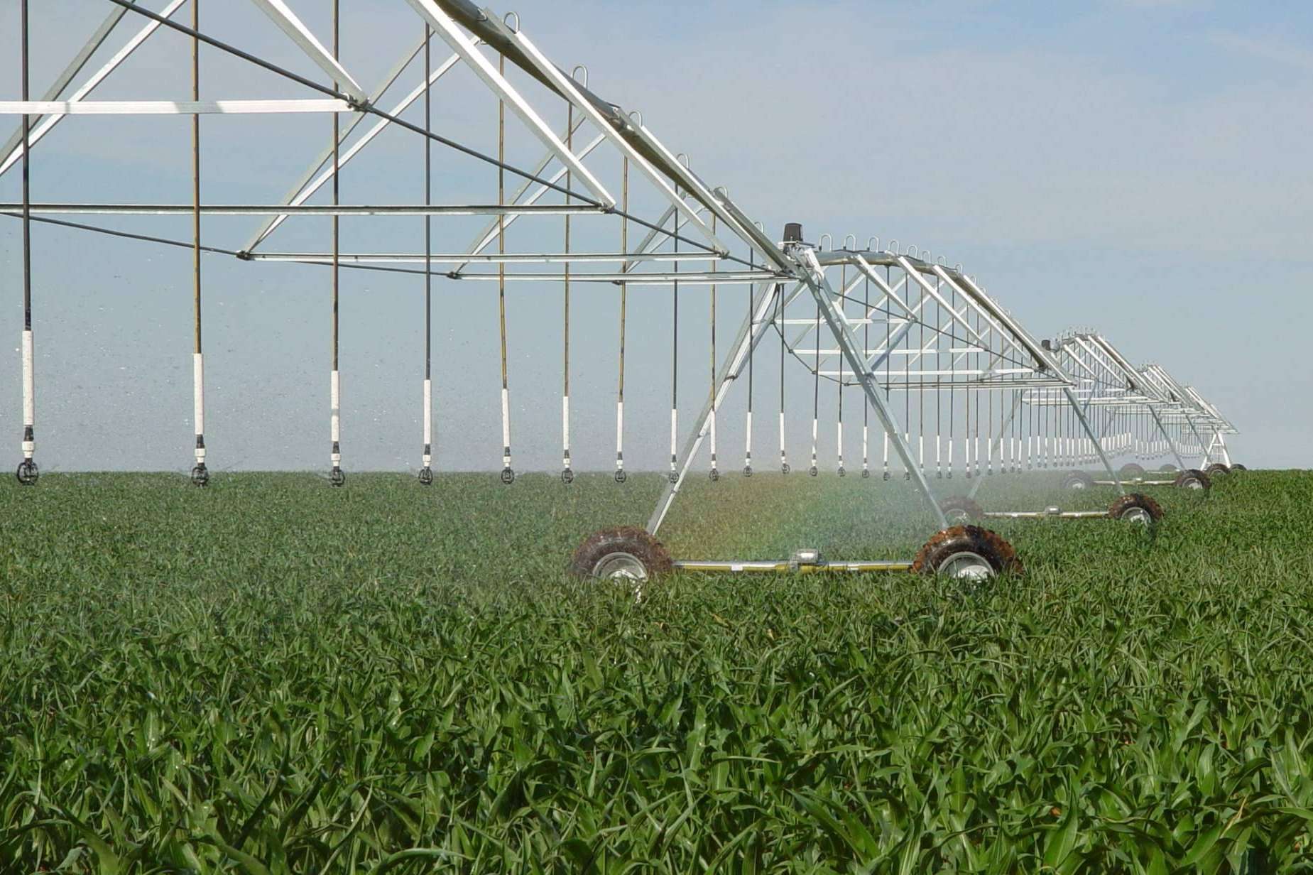 ITC Dosing Pumps, una de las empresas referentes en fertirrigación