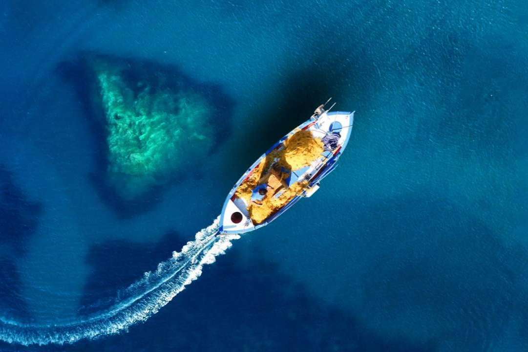 ¿Por qué es importante contar con un seguro de barco ahora que se acerca la temporada de verano?