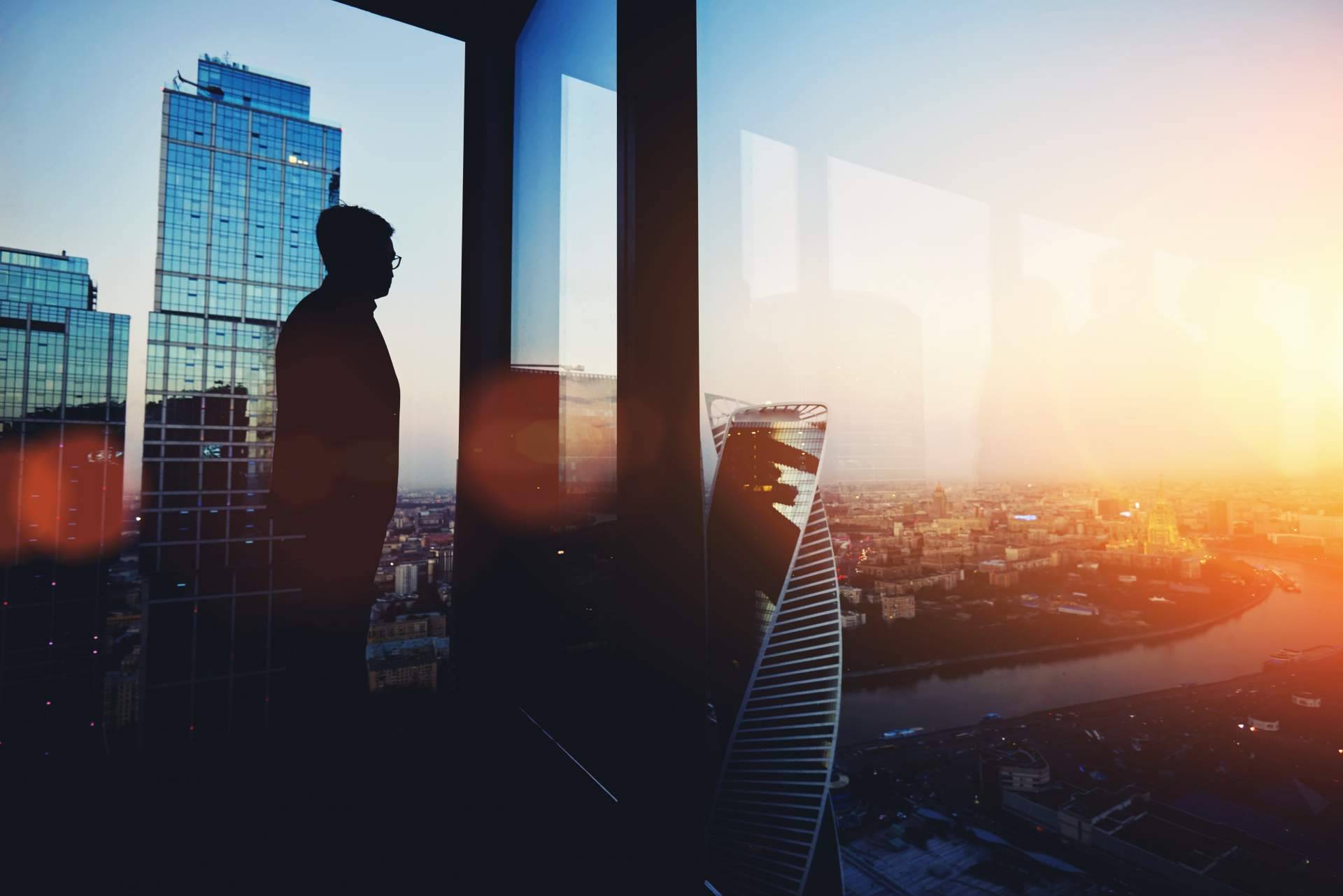 Lince Corporate, la adquisición de empresas