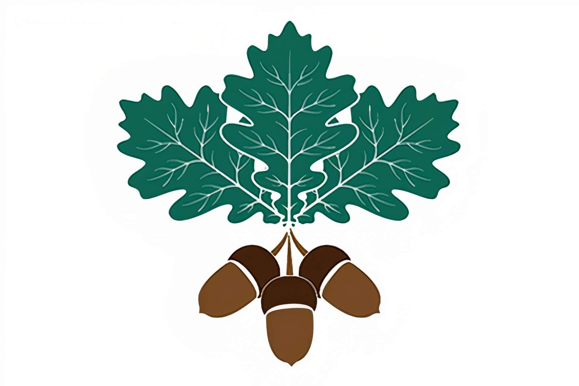 Digitalización de procesos de la información gracias al socio tecnológico Asistencia Integral CRUM